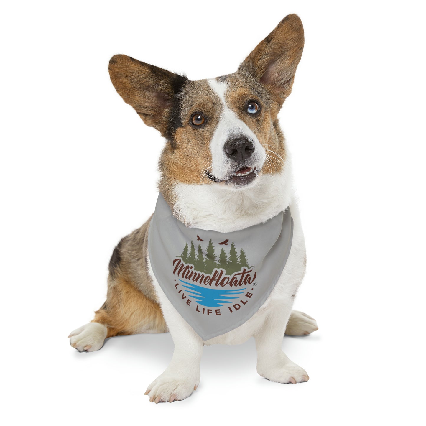 Minnefloata Lake Pet Bandana Collar