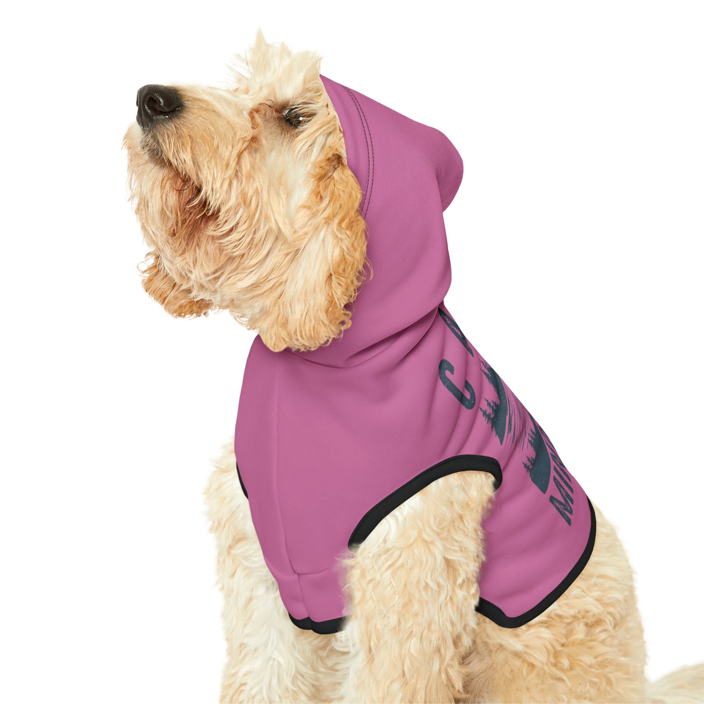 Camp Minnefloata Dock Pet Hoodie