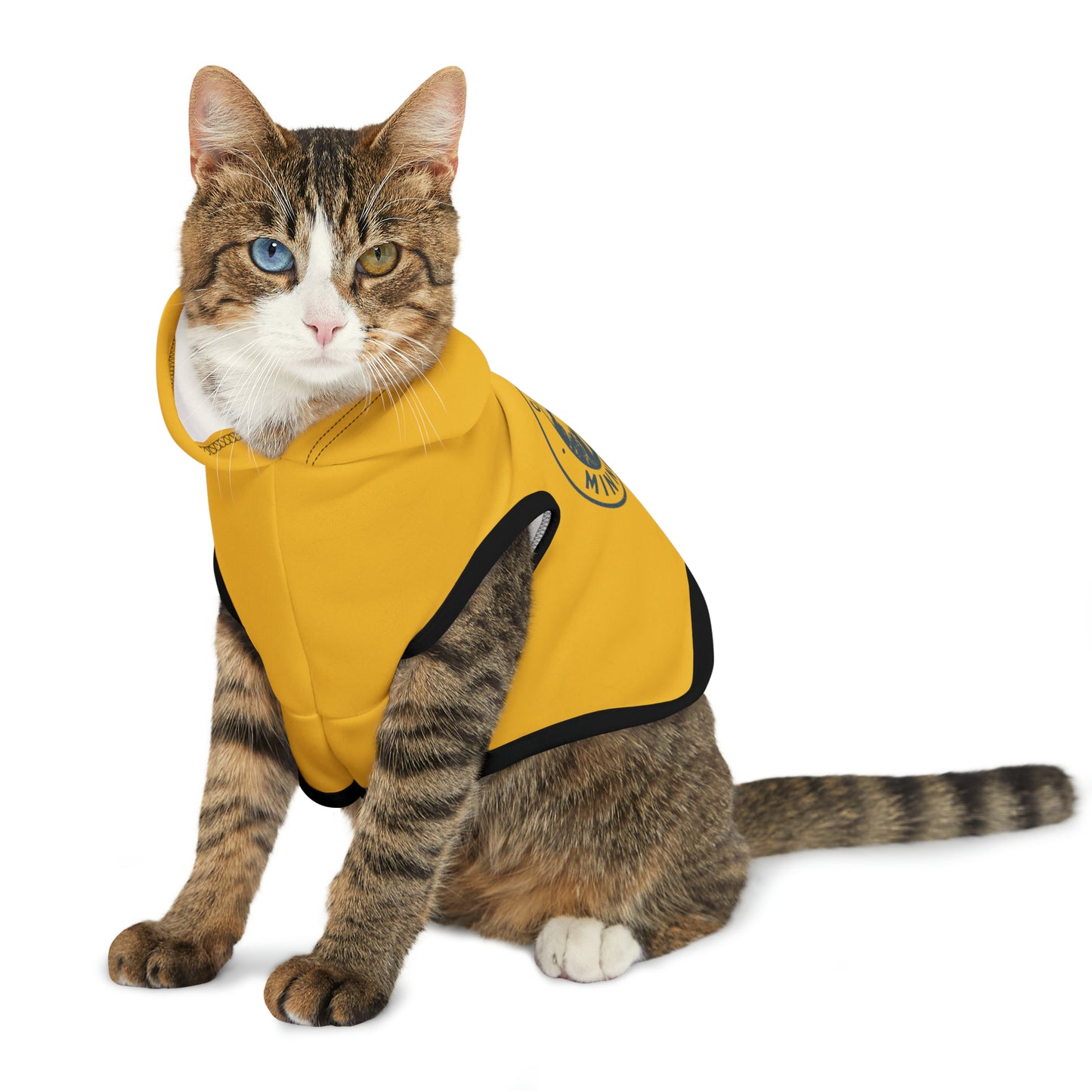 Camp Minnefloata Lake Pet Hoodie