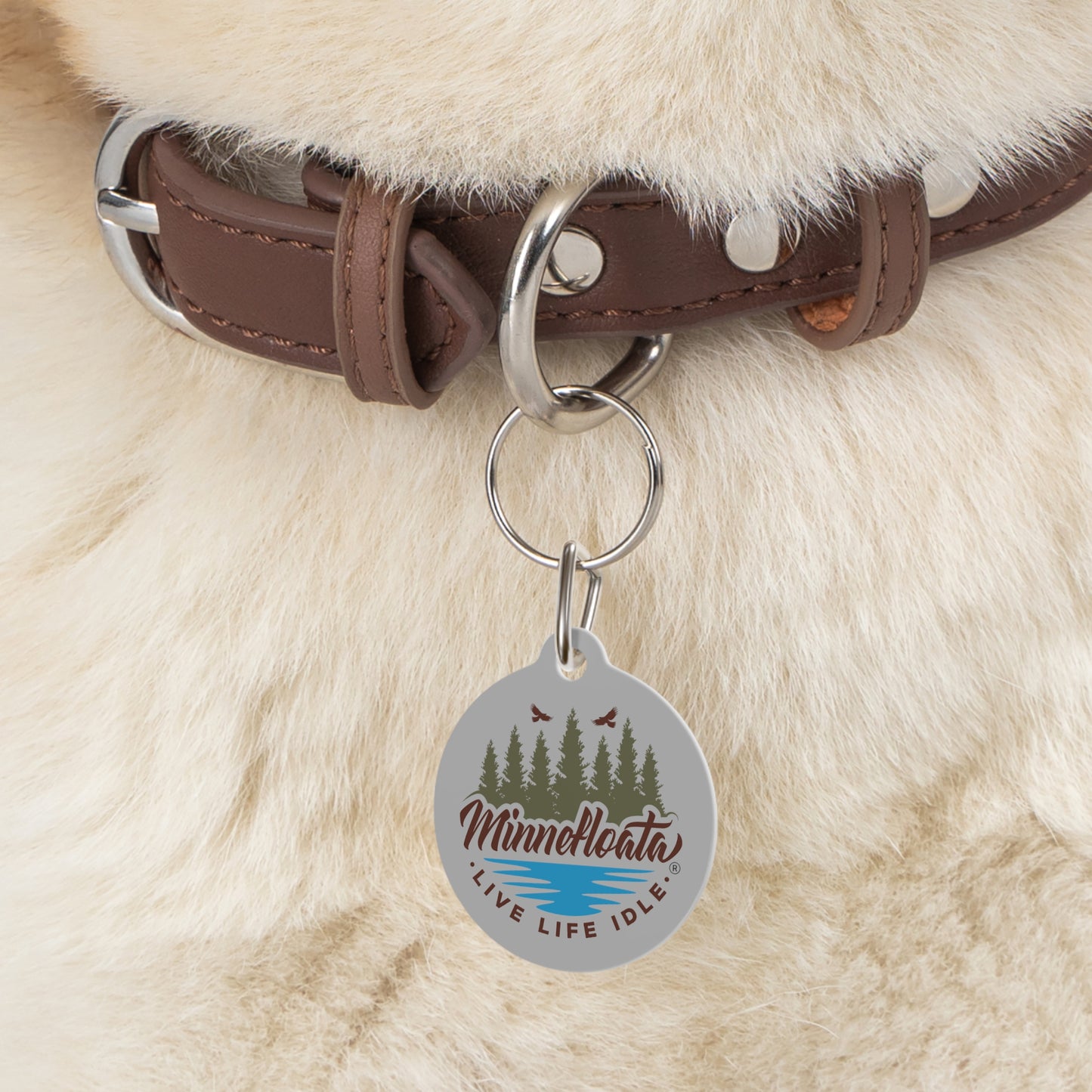 Minnefloata Lake Pet Tag