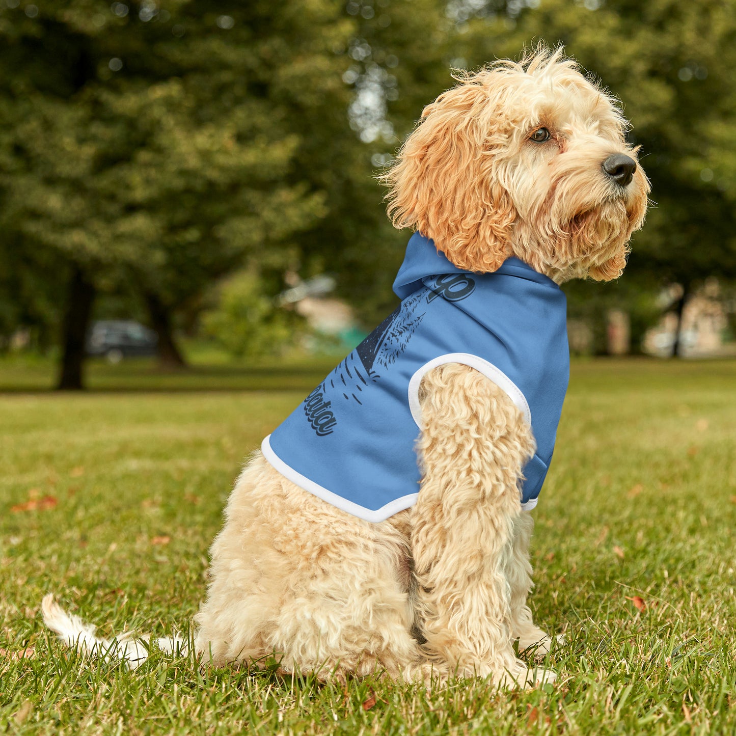 Camp Minnefloata Campsite Pet Hoodie