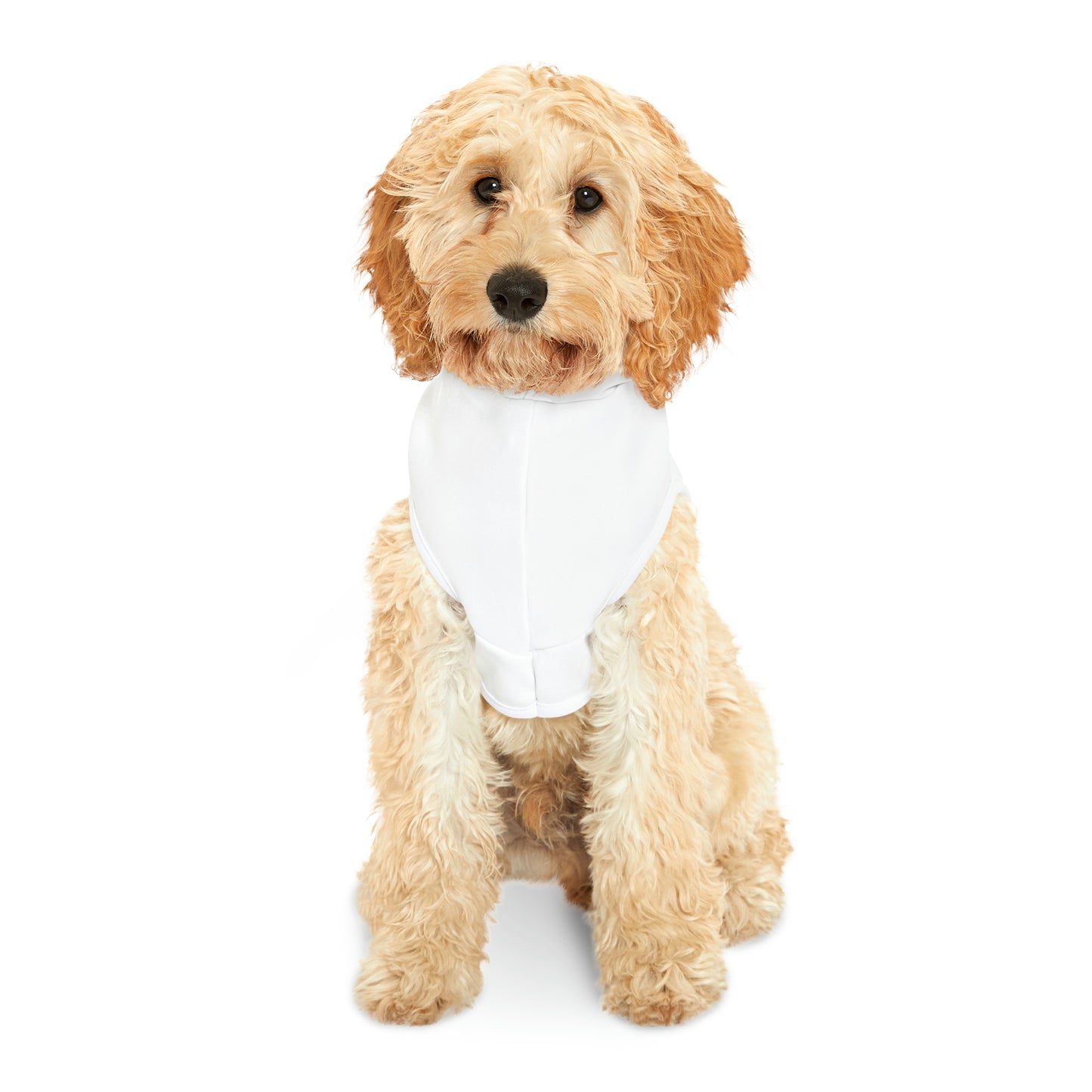 Minnefloata Propeller Pet Hoodie