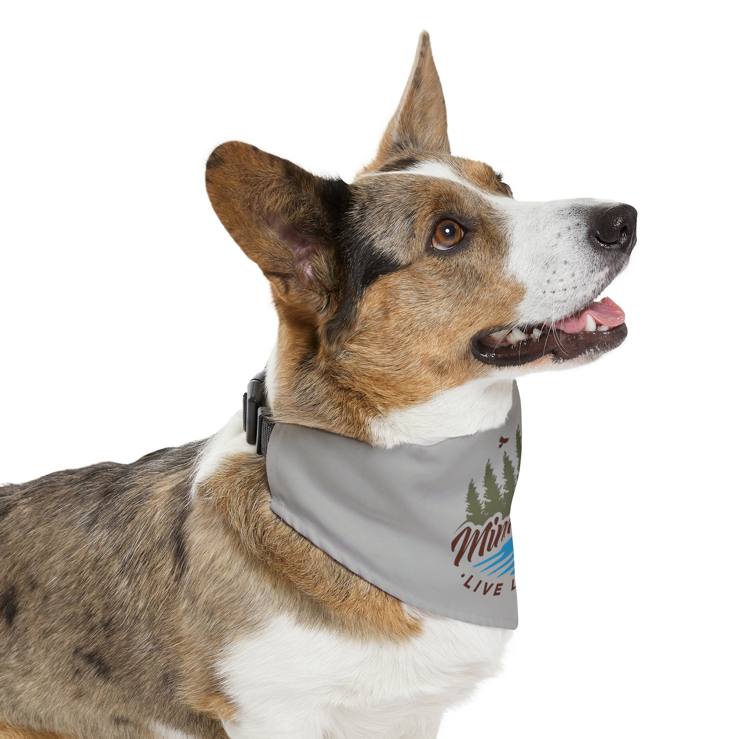 Minnefloata Lake Pet Bandana Collar