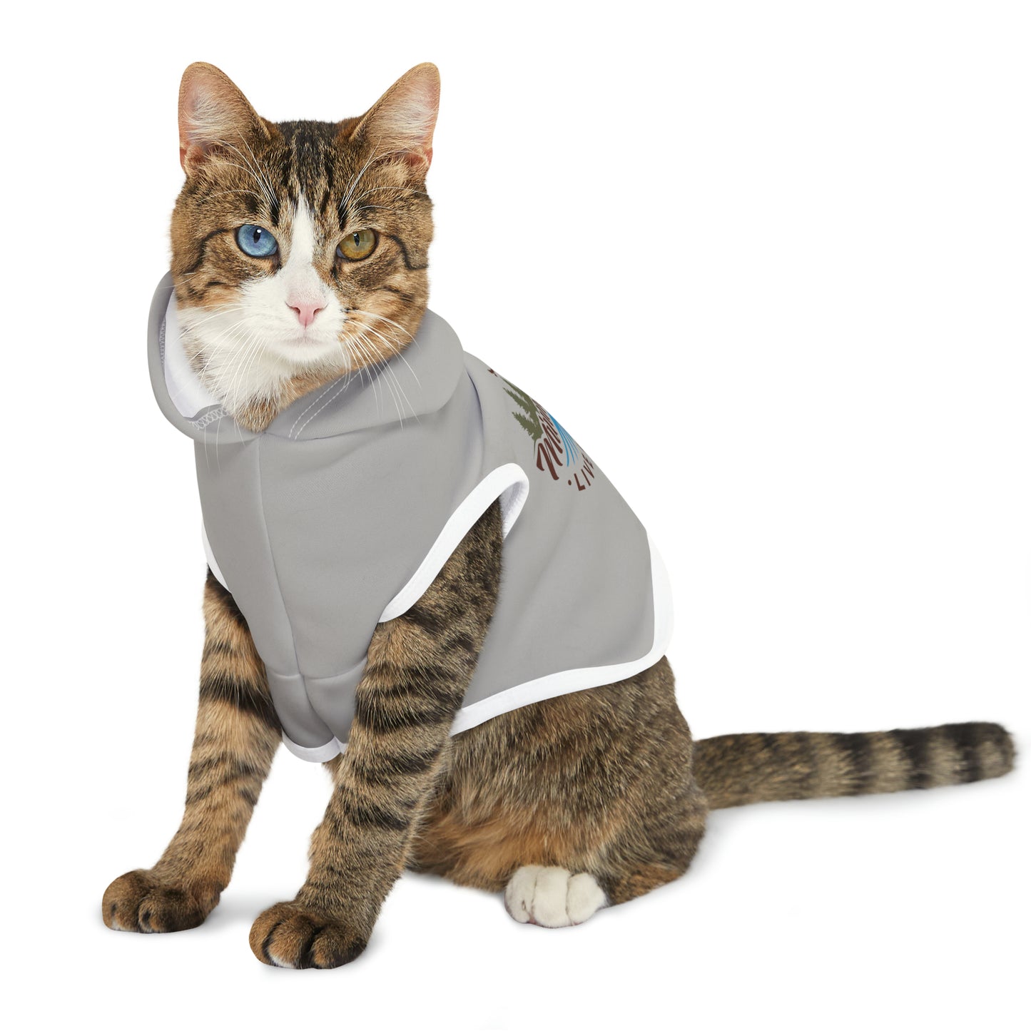 Minnefloata Lake Pet Hoodie