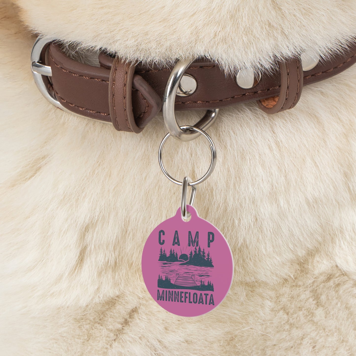 Camp Minnefloata Dock Pet Tag