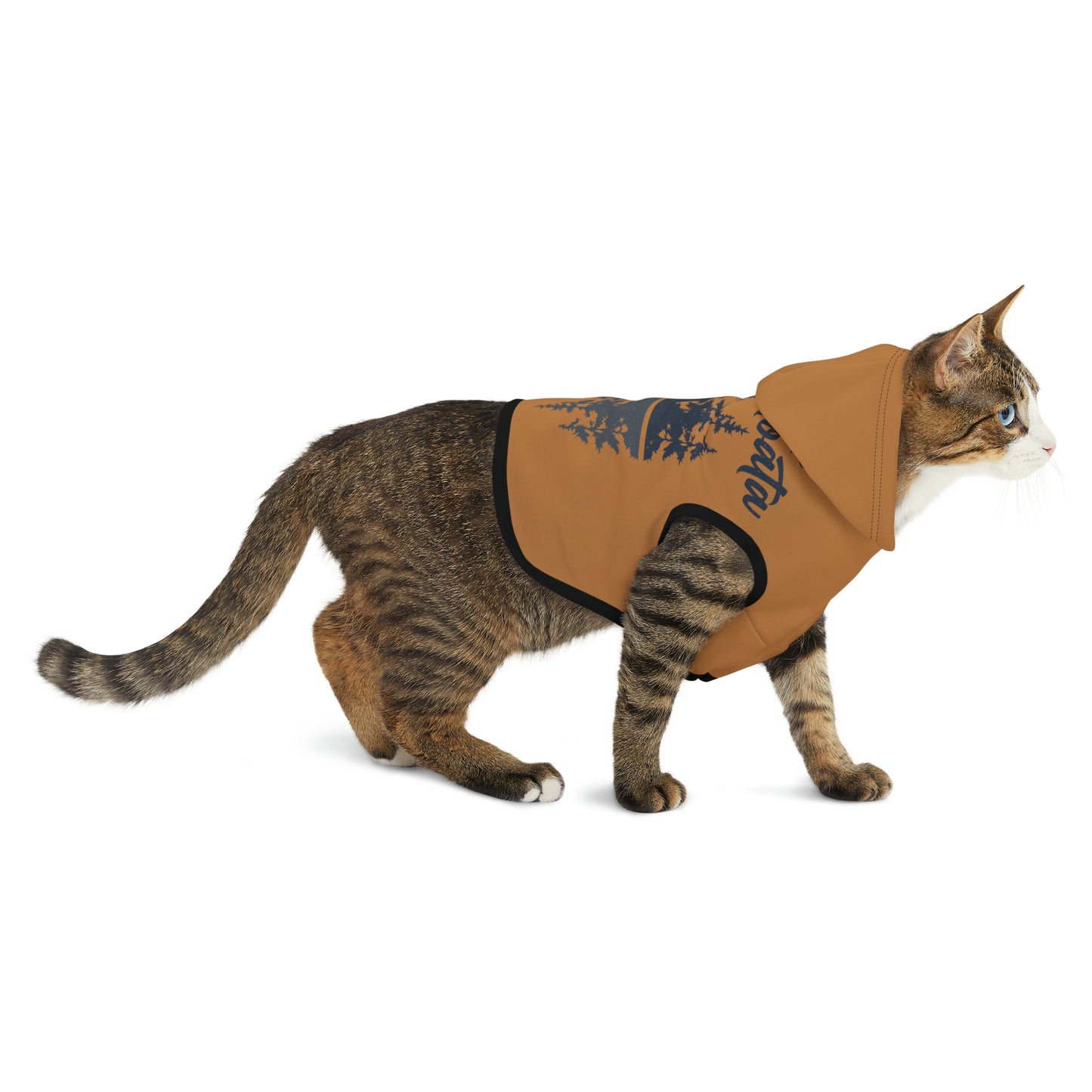 Camp Minnefloata Reflection Pet Hoodie