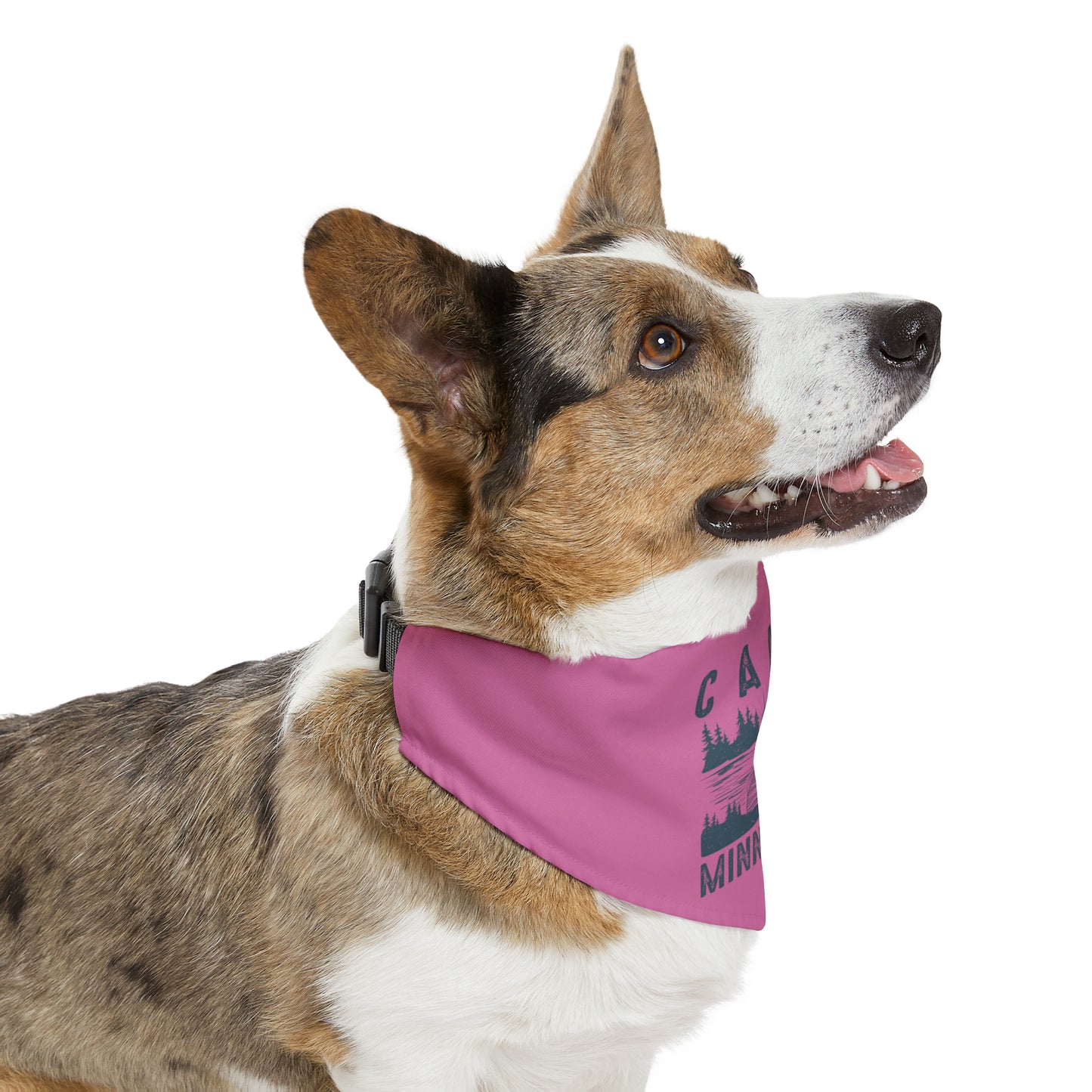 Camp Minnefloata Dock Pet Bandana Collar