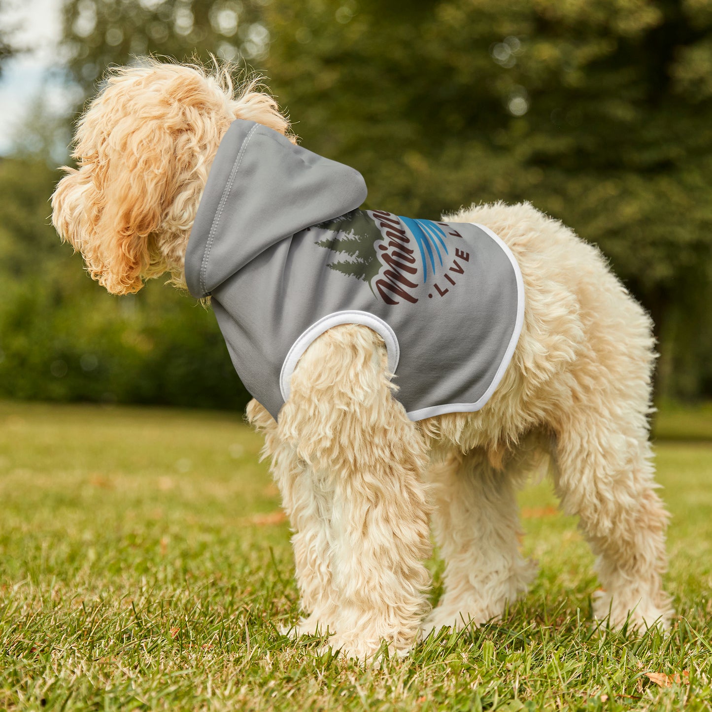 Minnefloata Lake Pet Hoodie