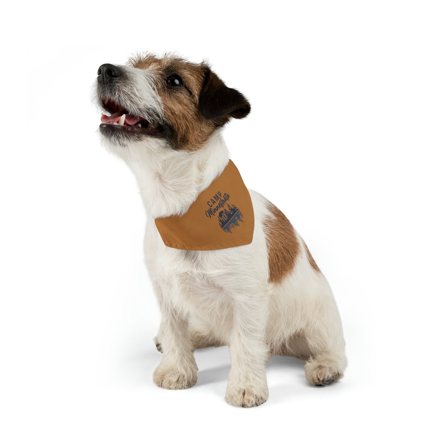 Camp Minnefloata Reflection Pet Bandana Collar