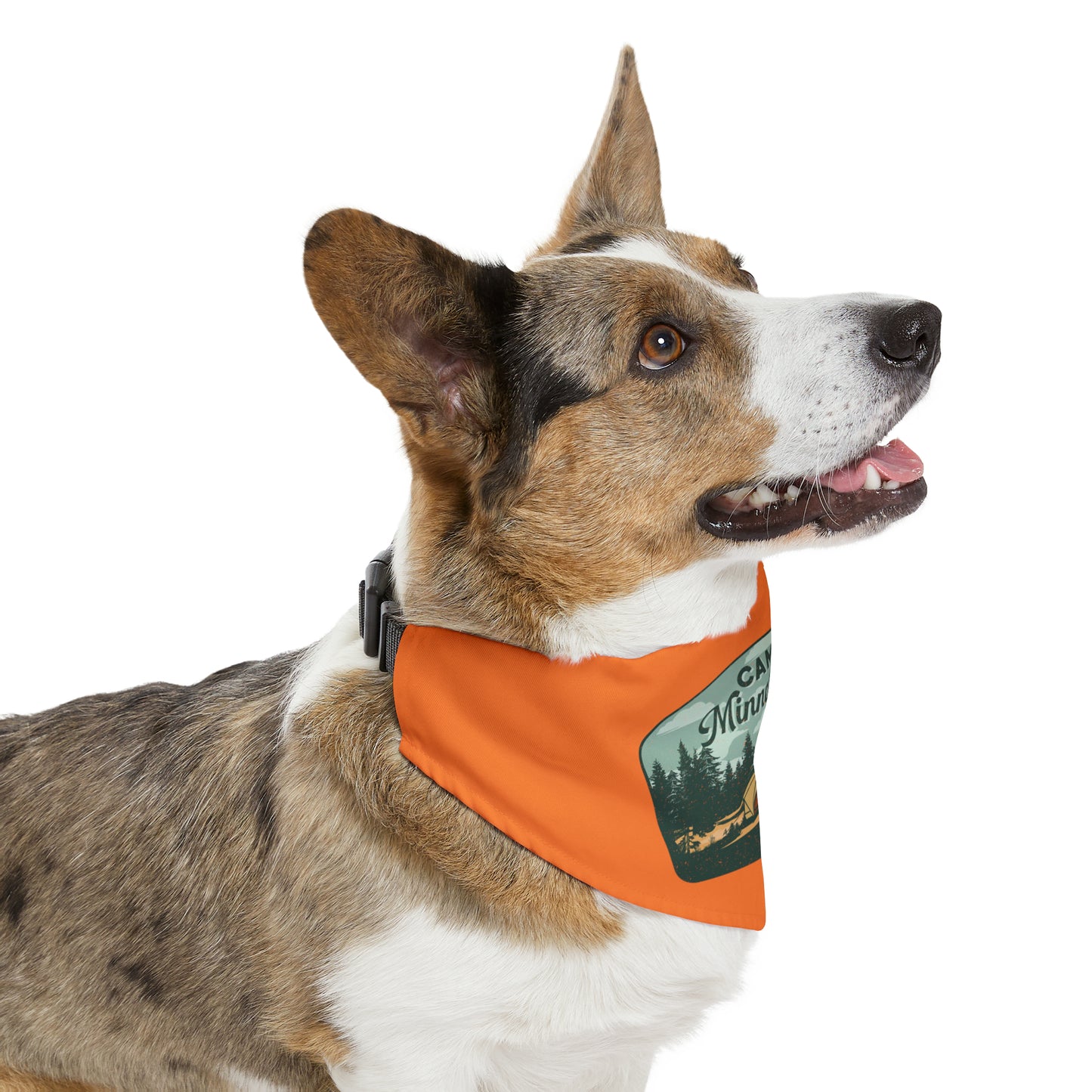 Camp Minnefloata Tent Pet Bandana Collar