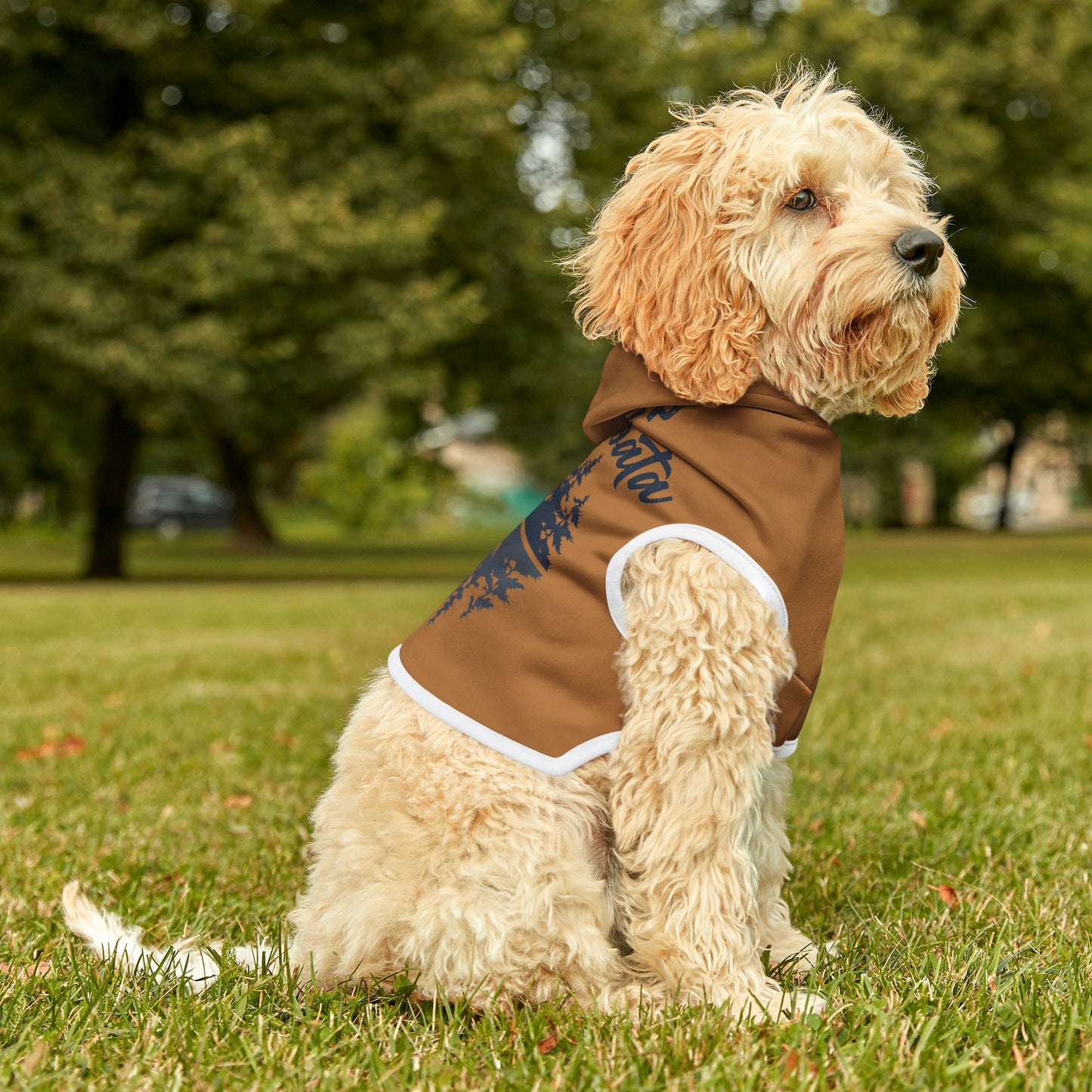 Camp Minnefloata Reflection Pet Hoodie