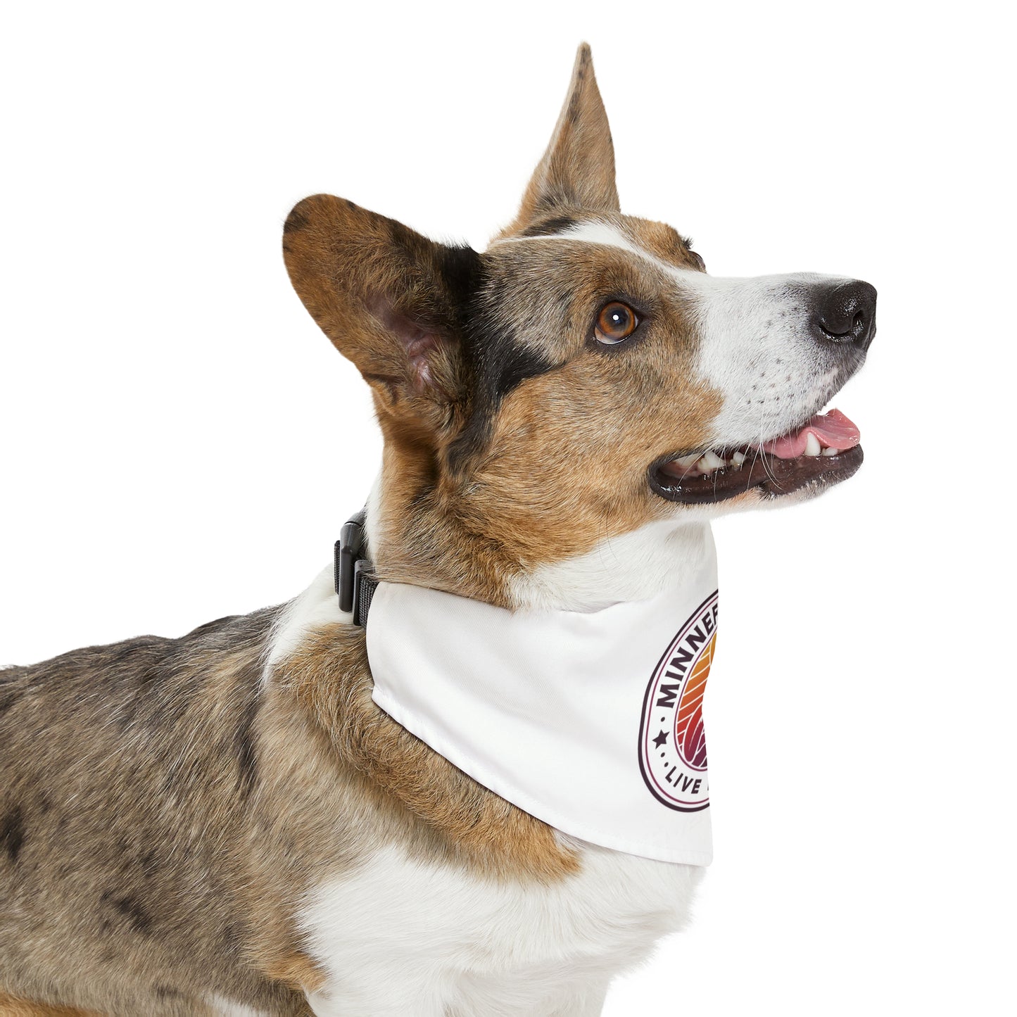 Minnefloata Propeller Pet Bandana Collar