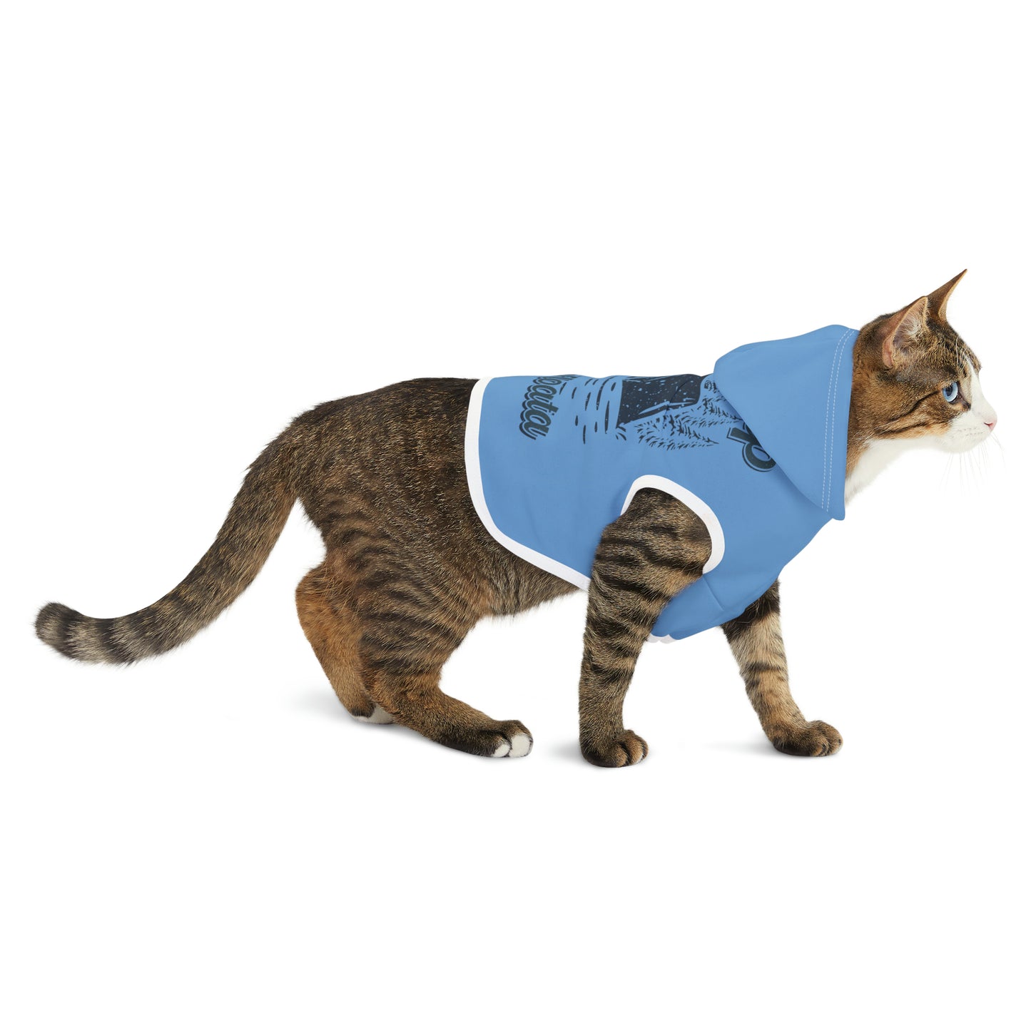 Camp Minnefloata Campsite Pet Hoodie