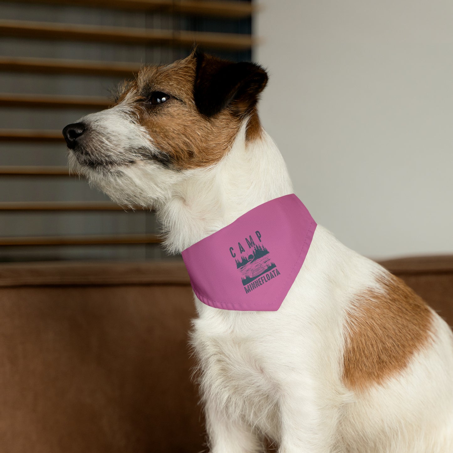 Camp Minnefloata Dock Pet Bandana Collar