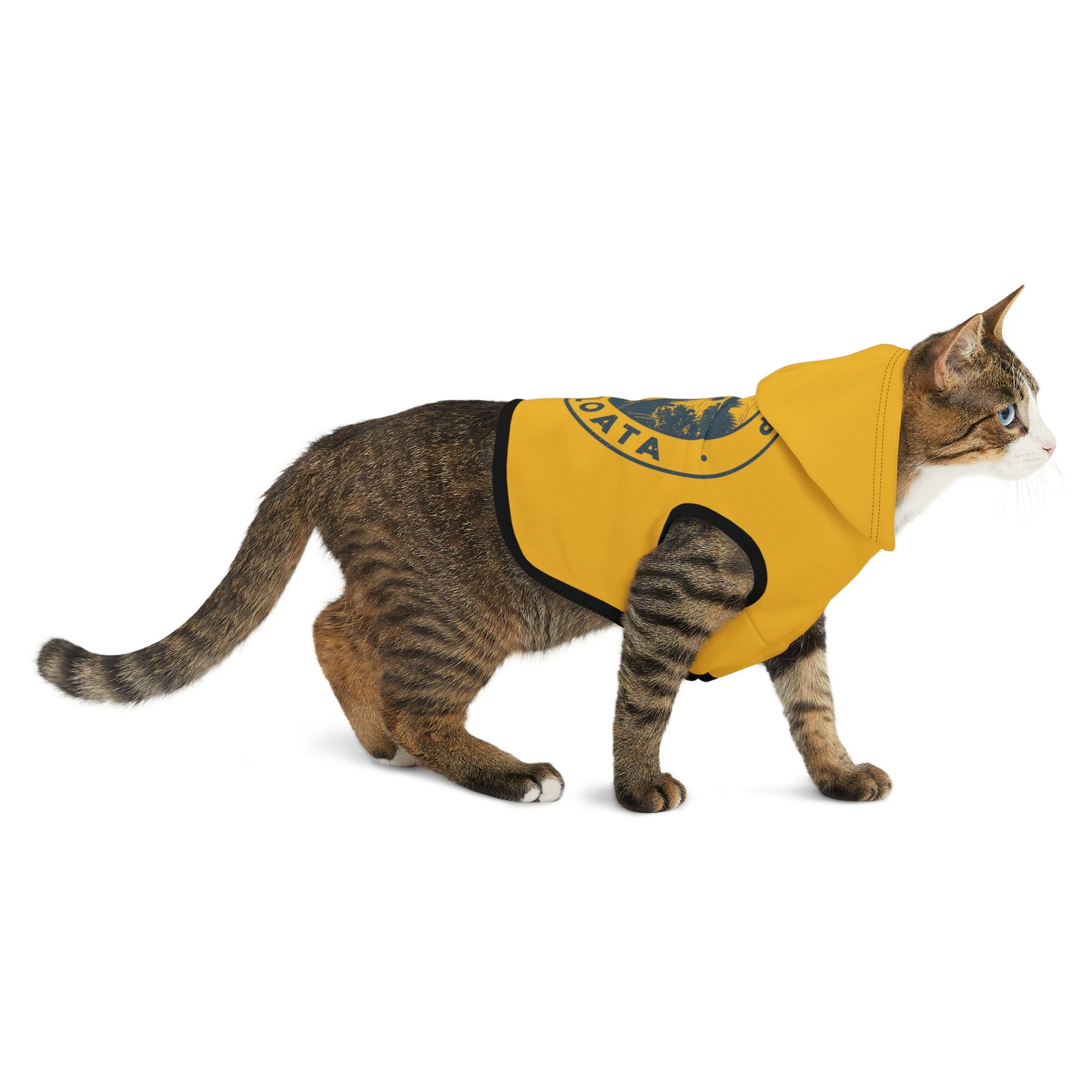 Camp Minnefloata Lake Pet Hoodie