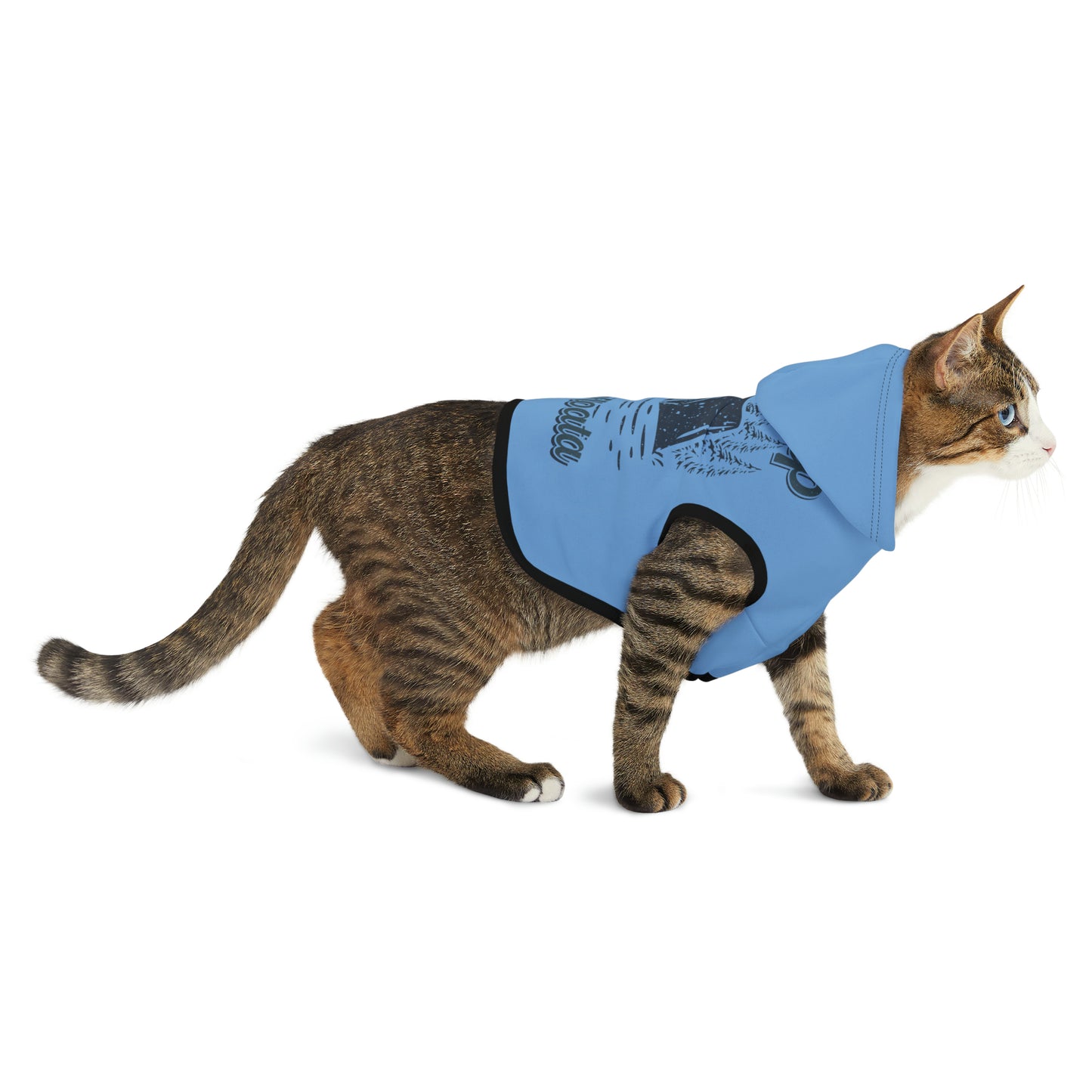 Camp Minnefloata Campsite Pet Hoodie