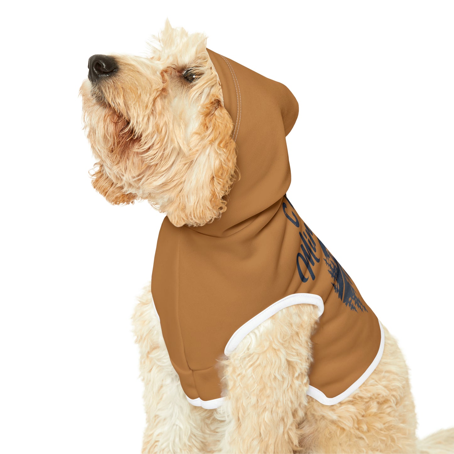 Camp Minnefloata Reflection Pet Hoodie