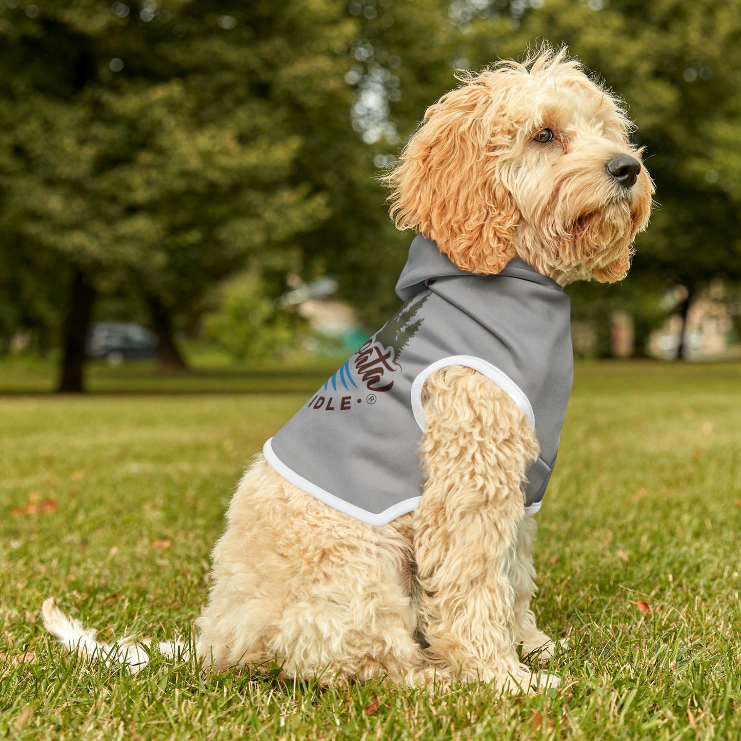 Minnefloata Lake Pet Hoodie