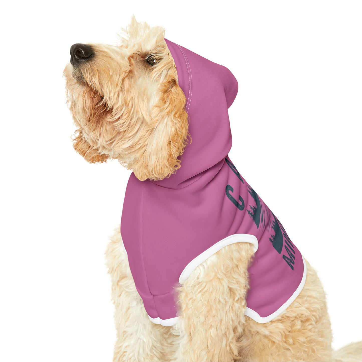 Camp Minnefloata Dock Pet Hoodie