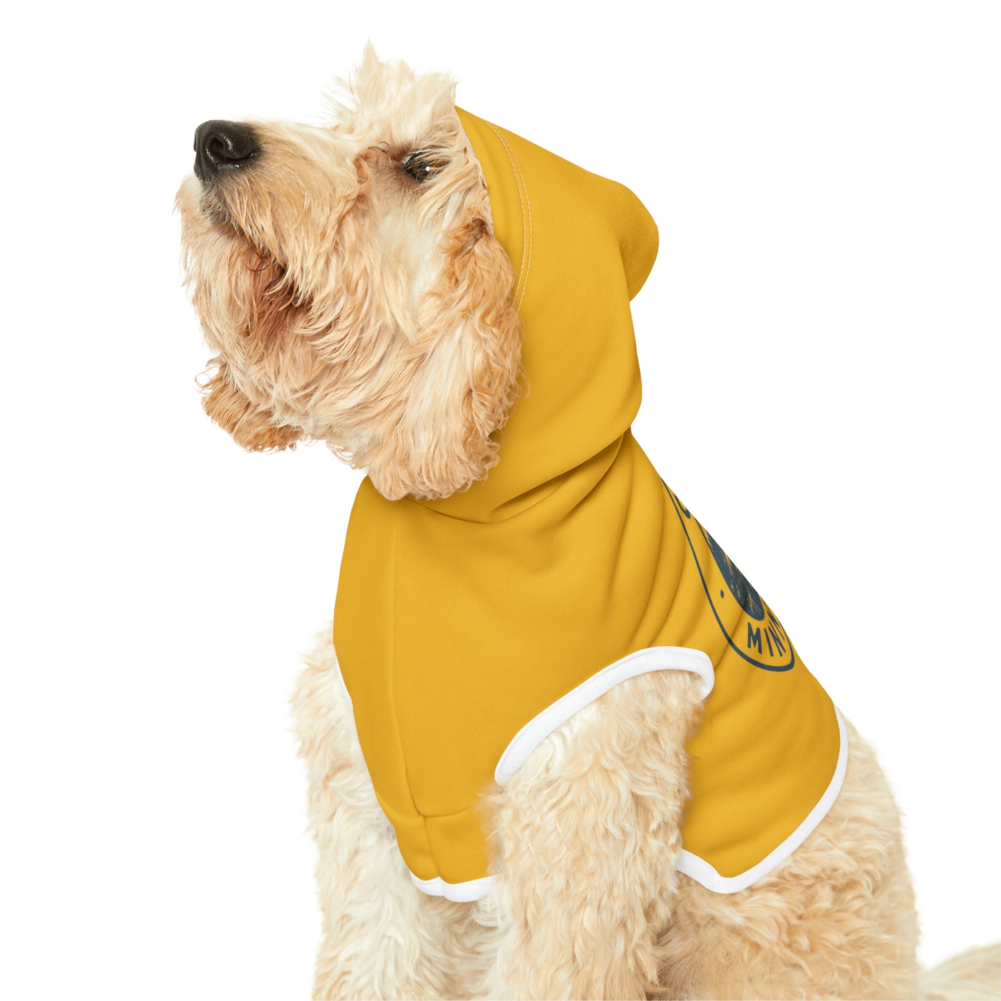 Camp Minnefloata Lake Pet Hoodie