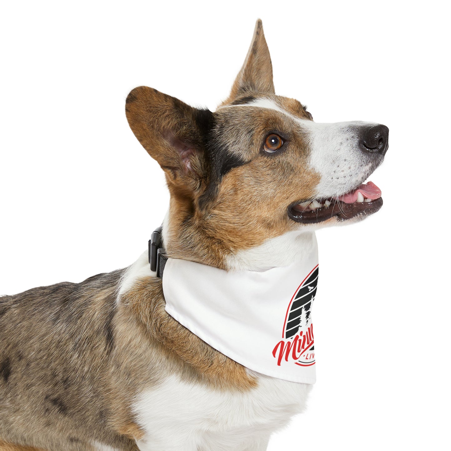 Minnefloata Pet Bandana Collar