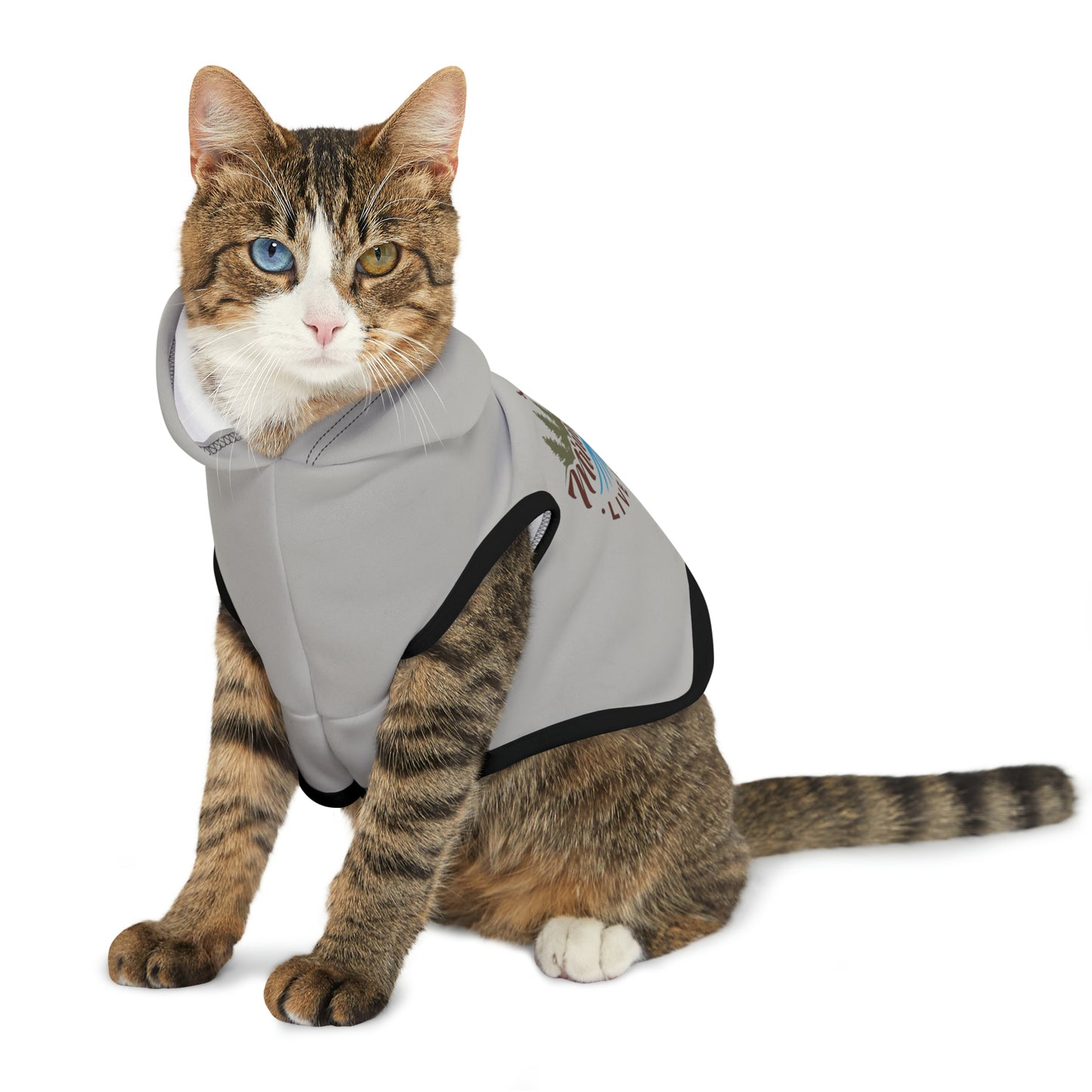 Minnefloata Lake Pet Hoodie