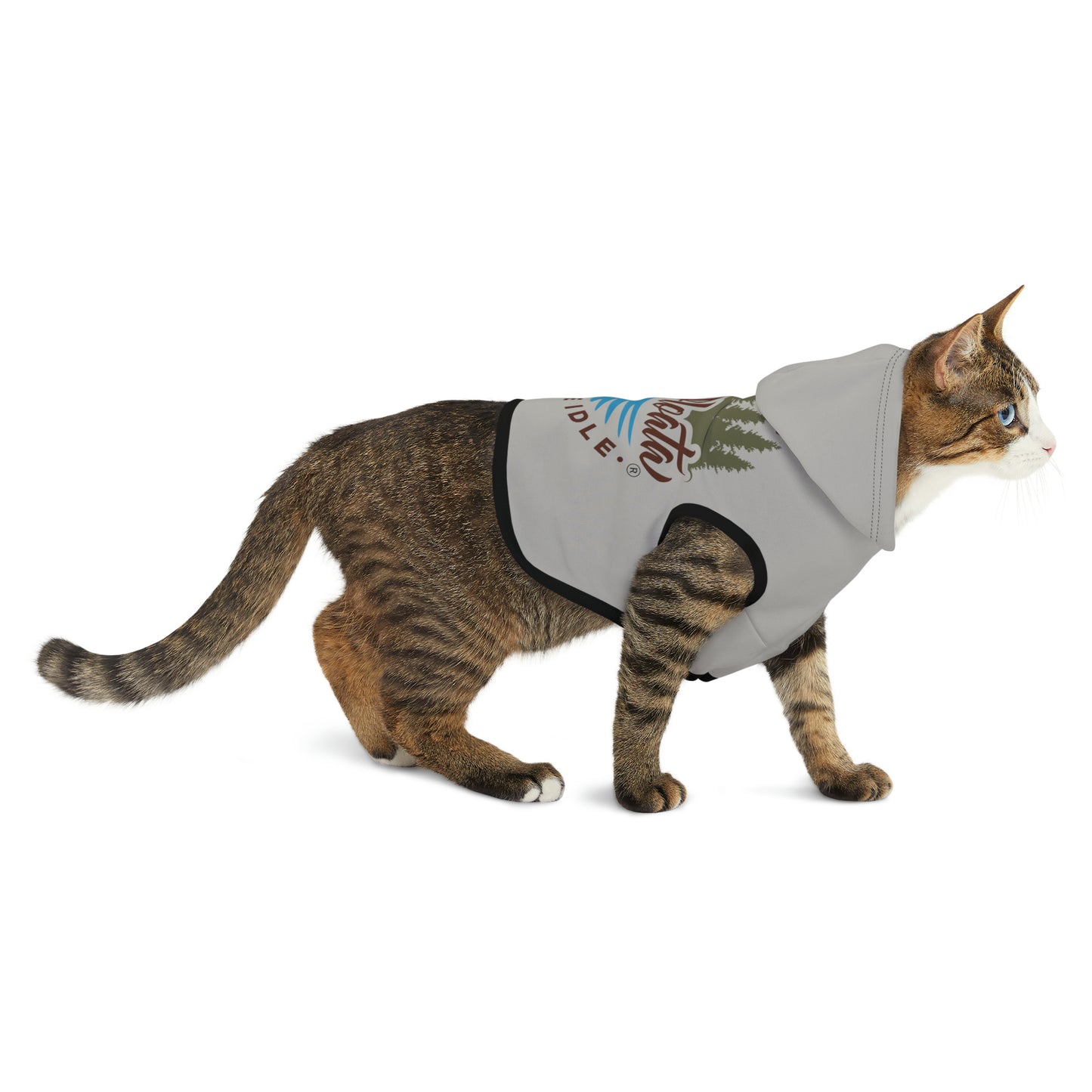 Minnefloata Lake Pet Hoodie