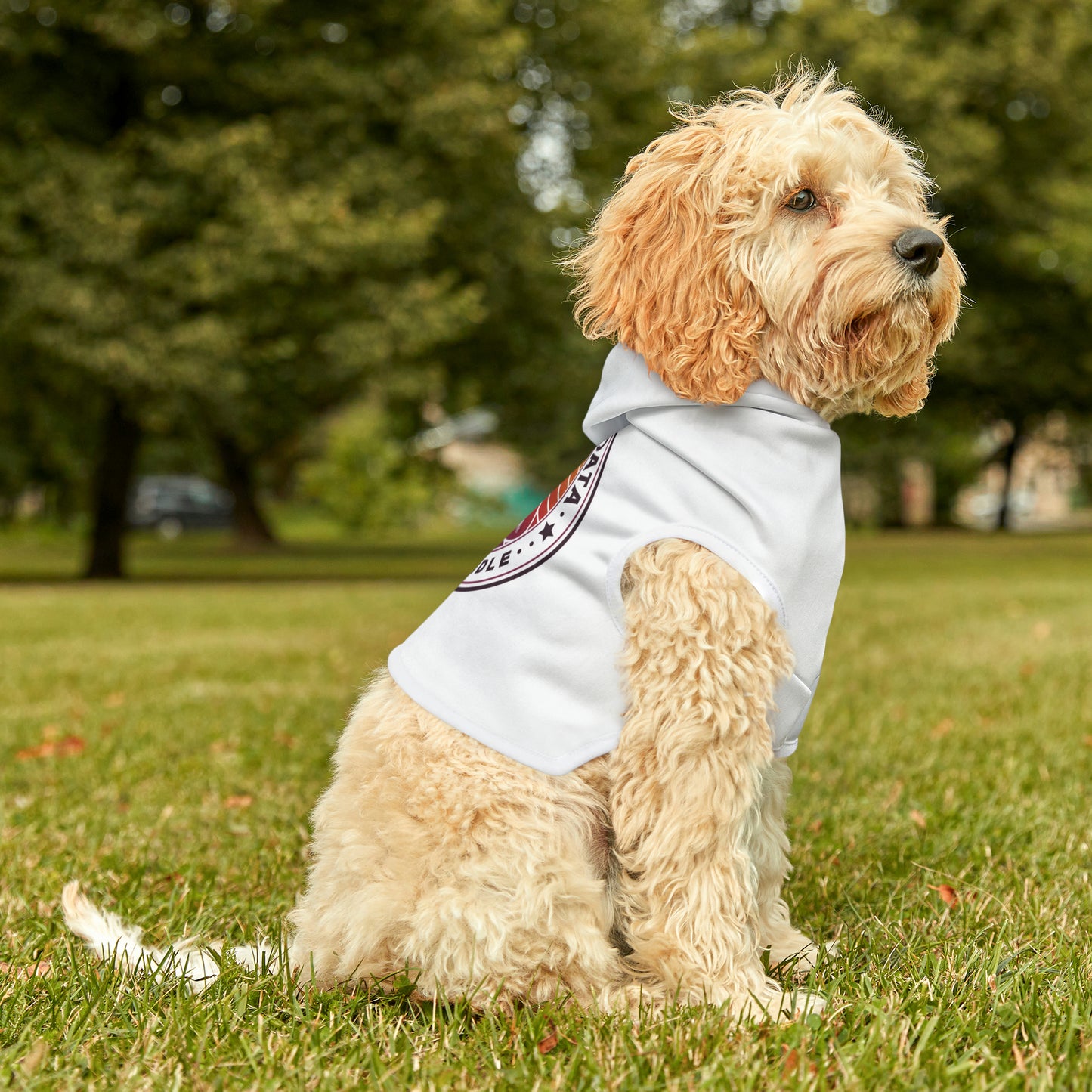 Minnefloata Propeller Pet Hoodie