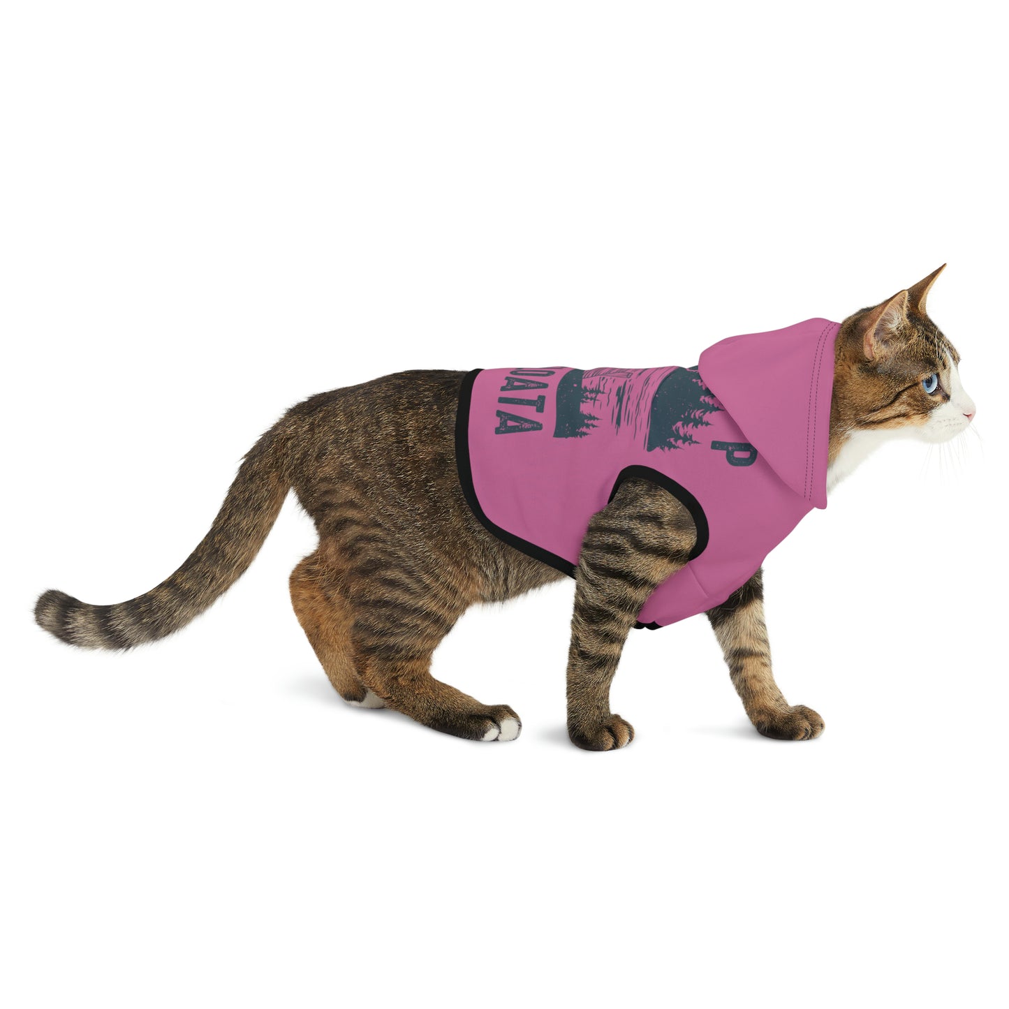 Camp Minnefloata Dock Pet Hoodie