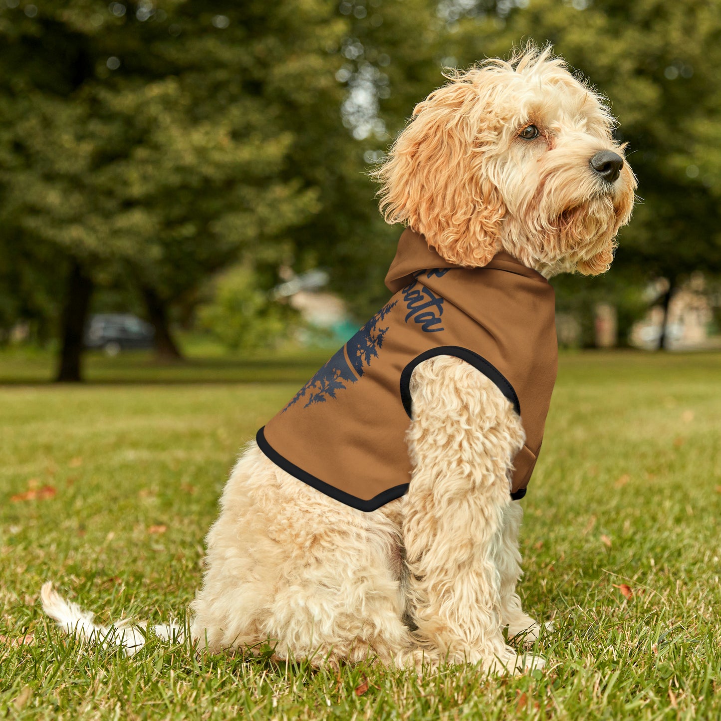 Camp Minnefloata Reflection Pet Hoodie