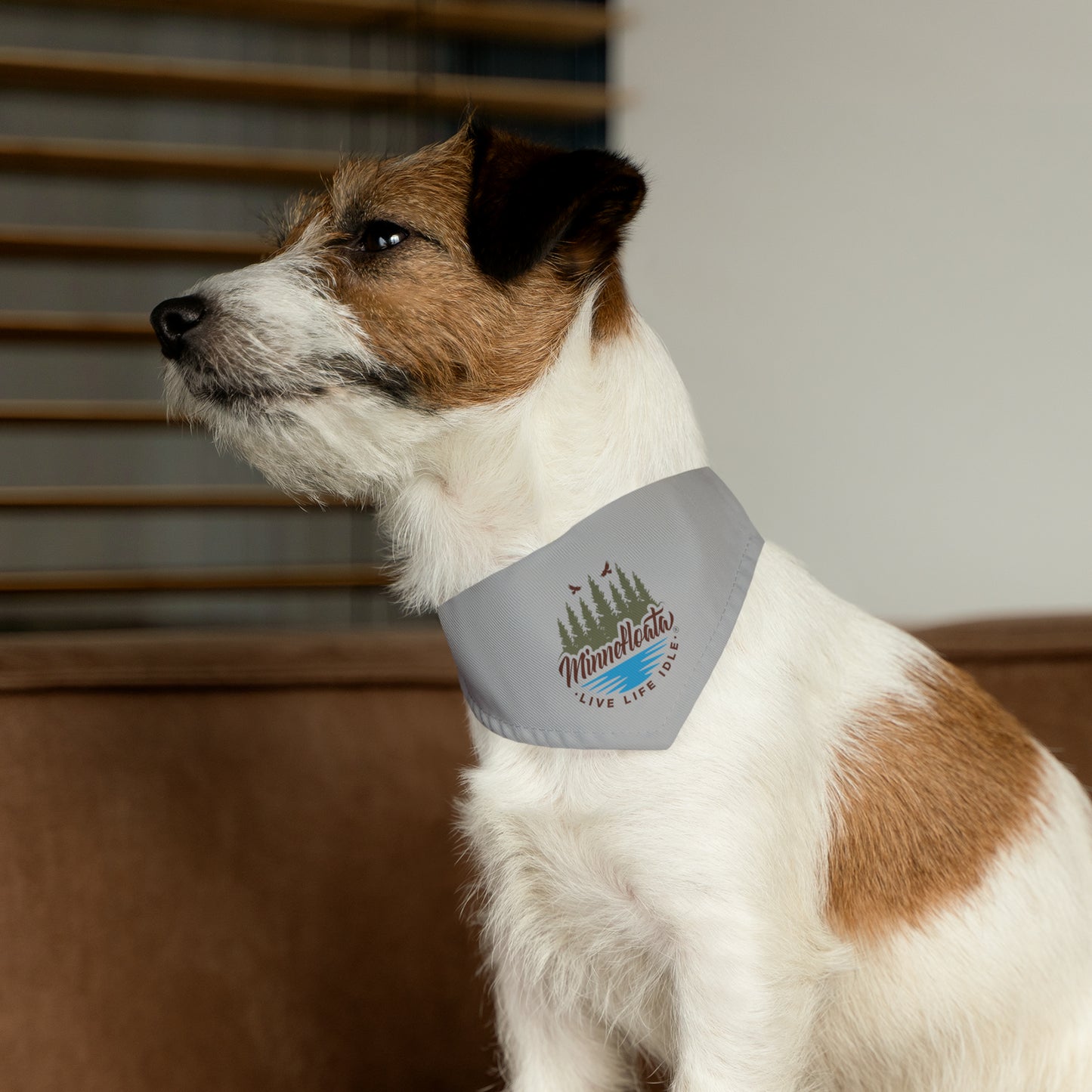 Minnefloata Lake Pet Bandana Collar