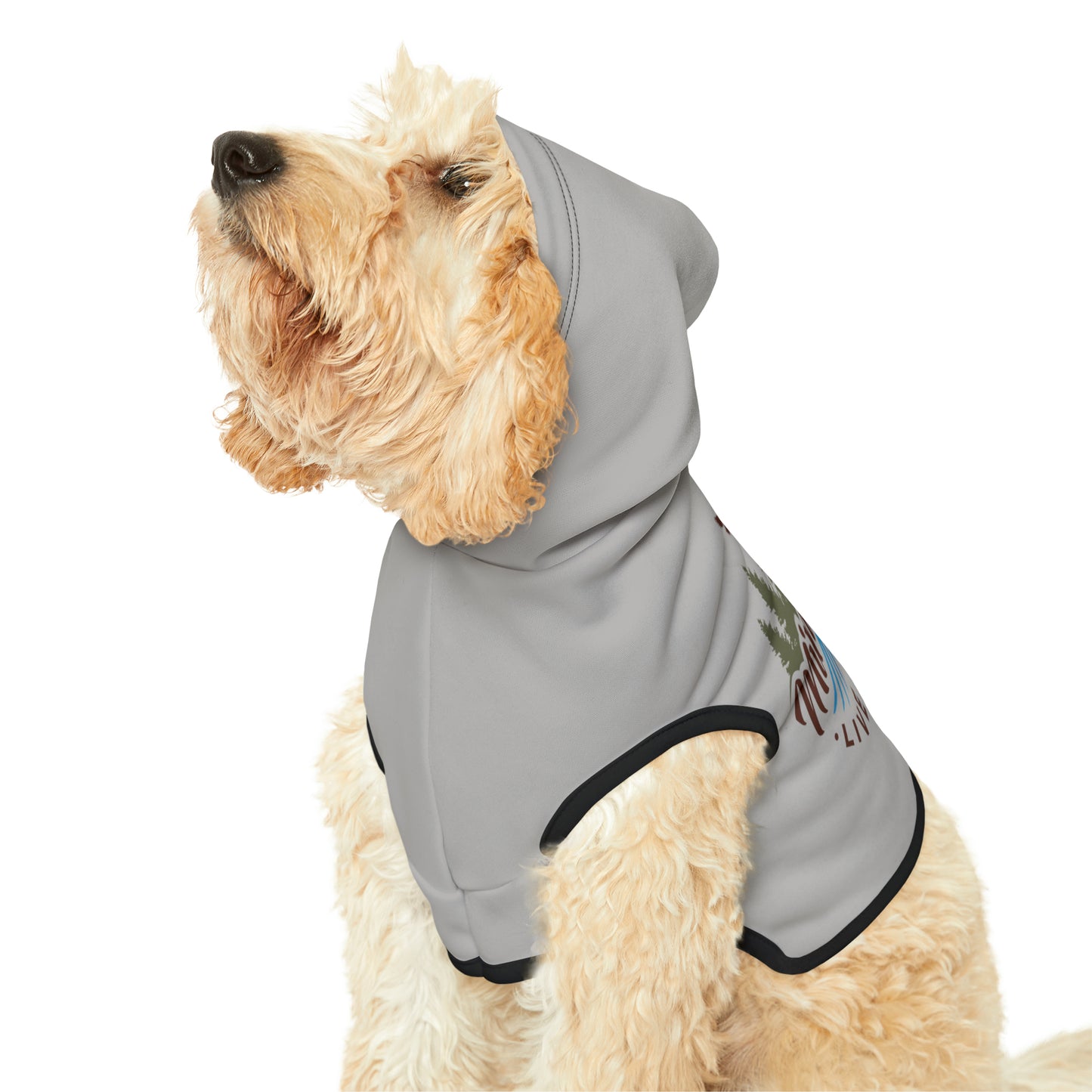 Minnefloata Lake Pet Hoodie