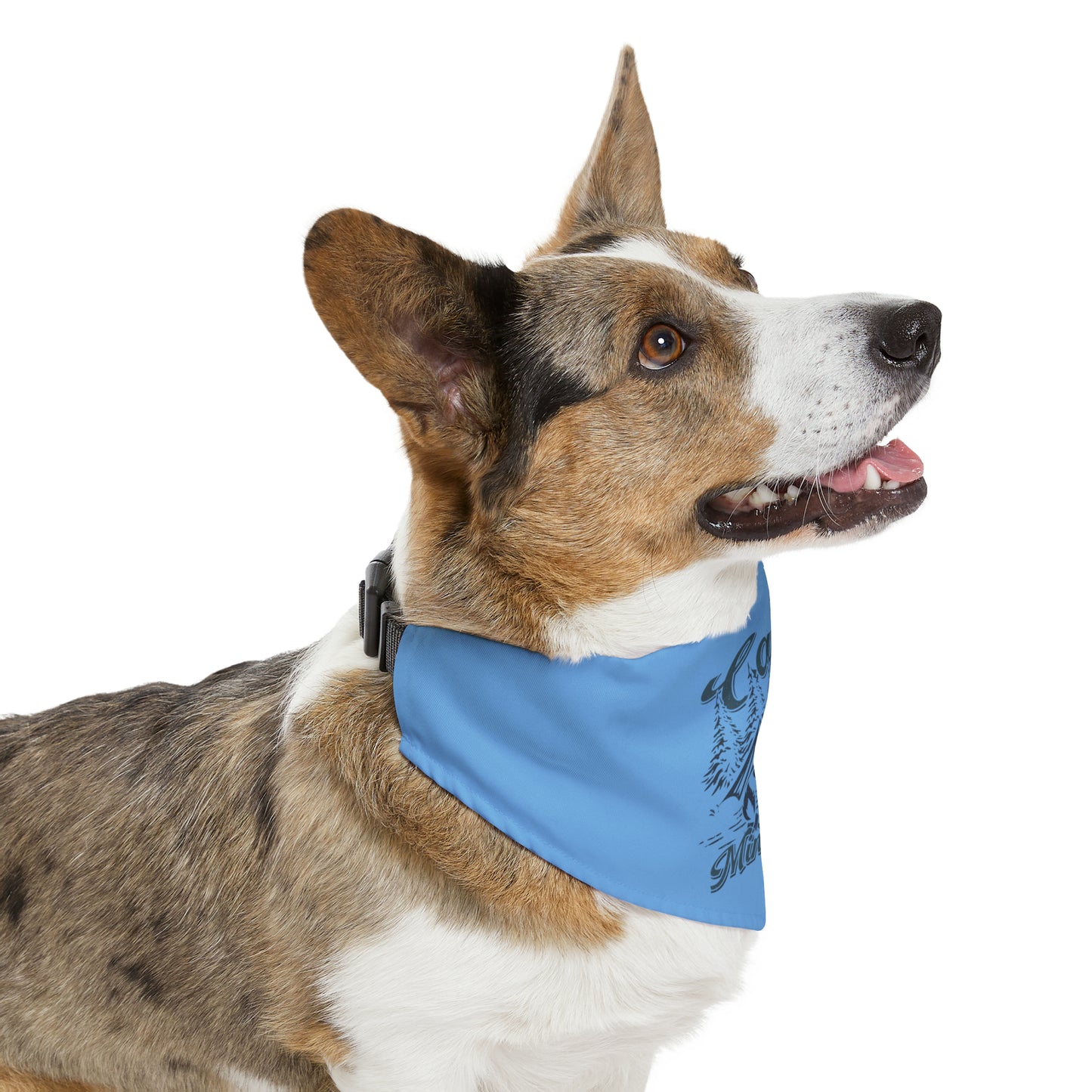 Camp Minnefloata Campsite Pet Bandana Collar