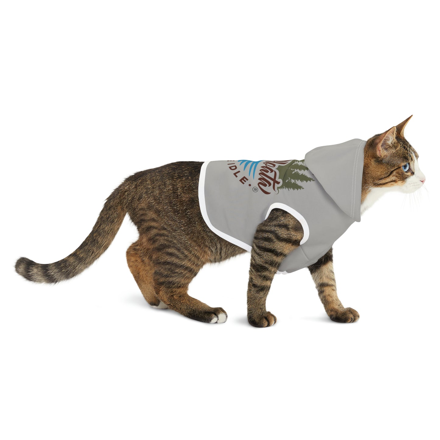 Minnefloata Lake Pet Hoodie