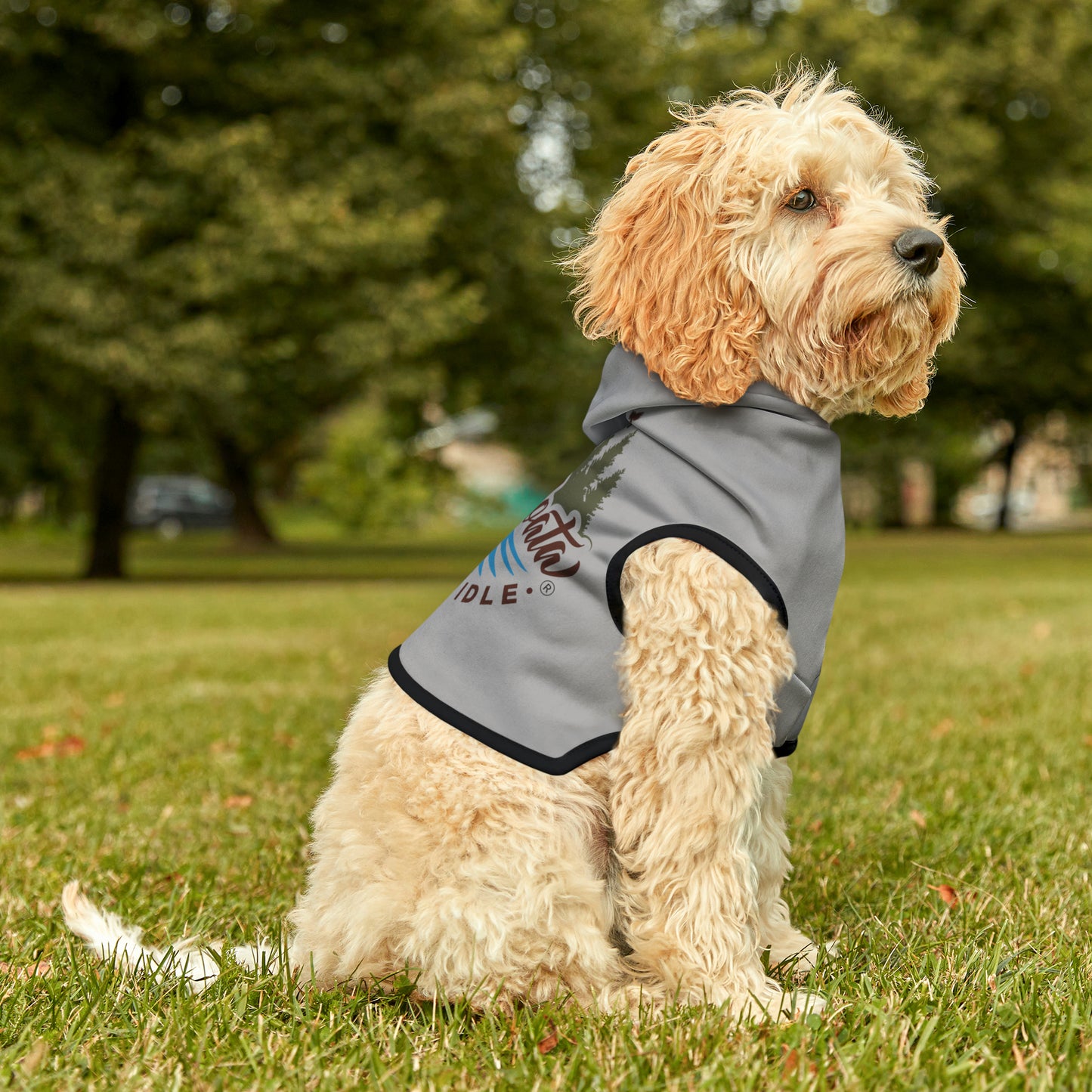 Minnefloata Lake Pet Hoodie