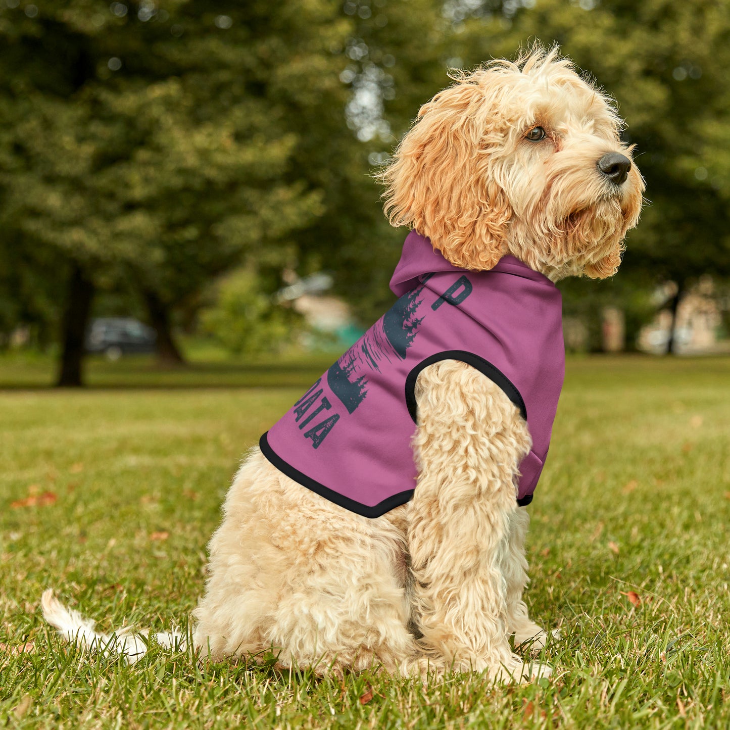 Camp Minnefloata Dock Pet Hoodie