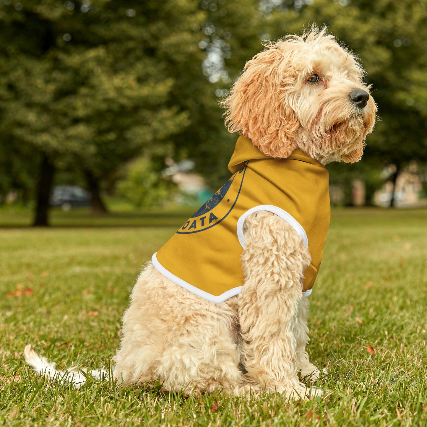 Camp Minnefloata Lake Pet Hoodie