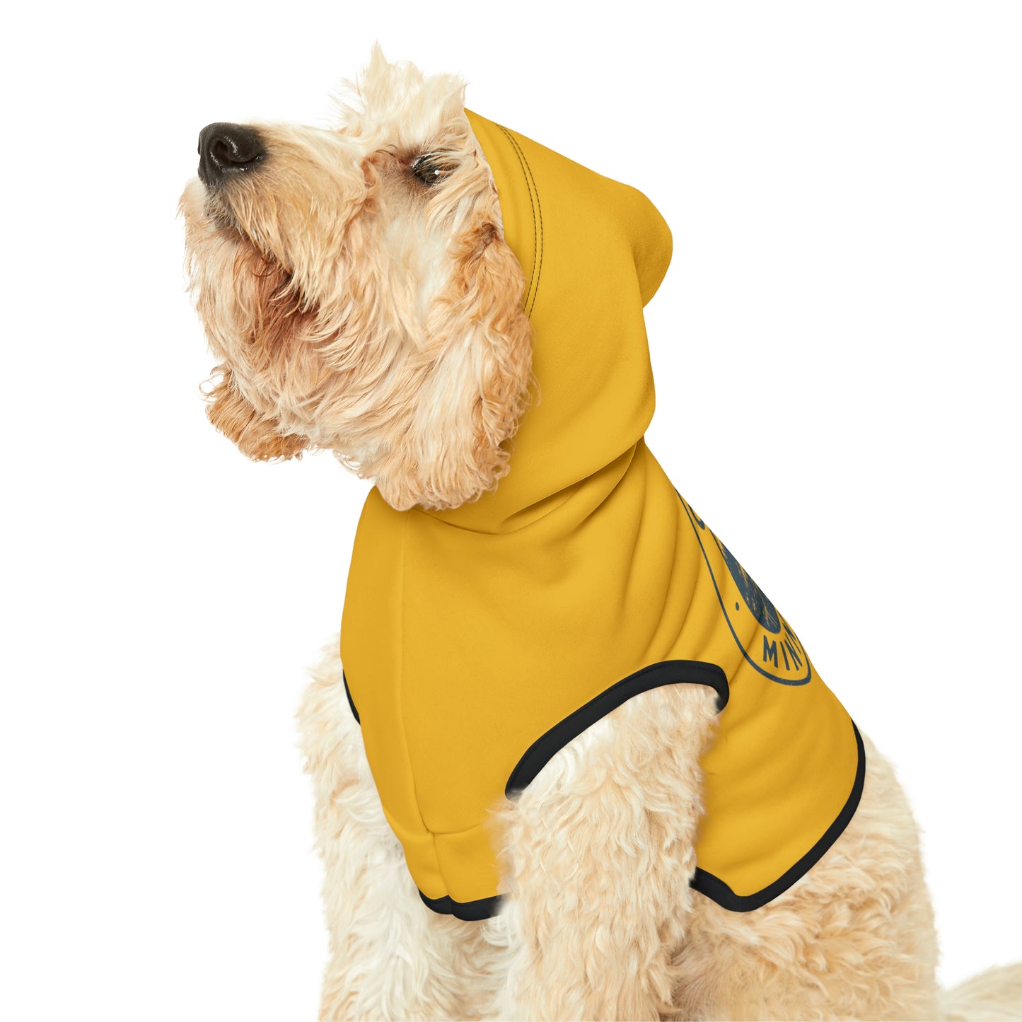 Camp Minnefloata Lake Pet Hoodie