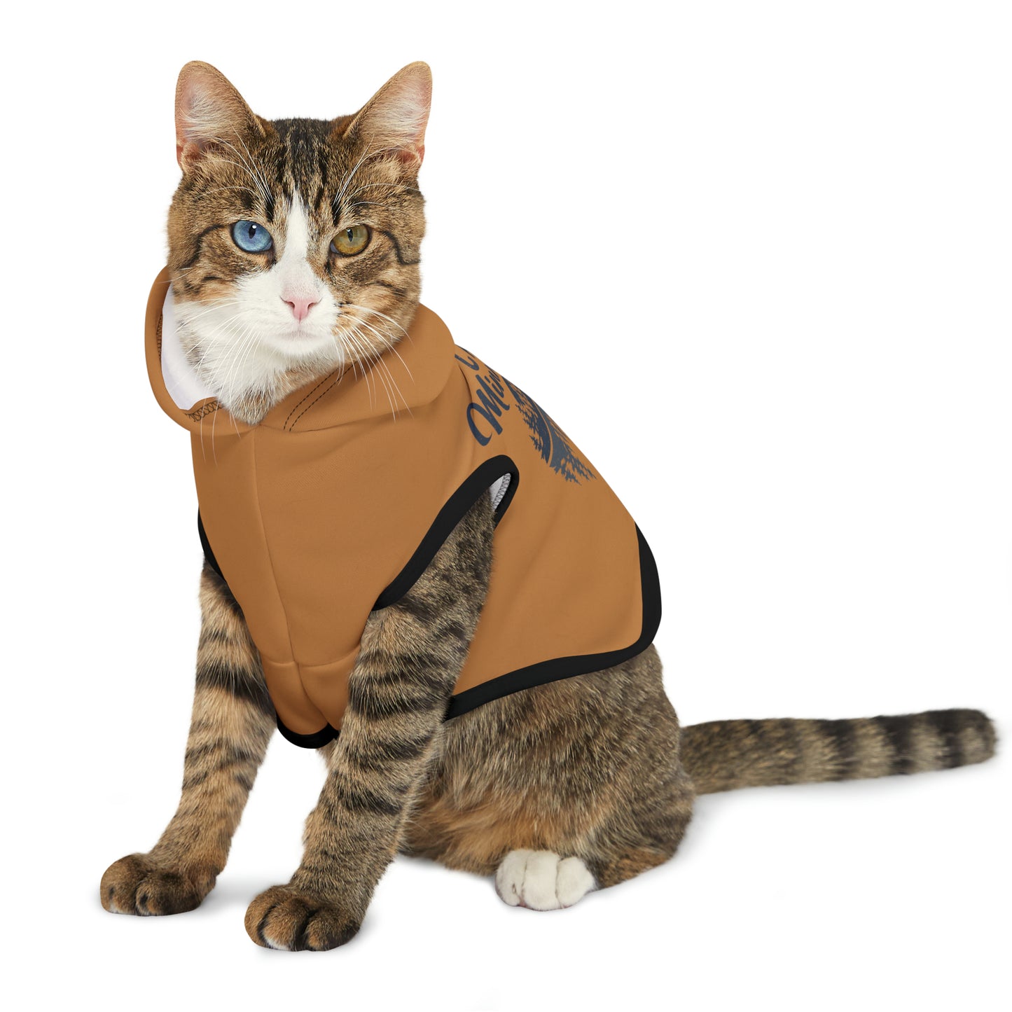 Camp Minnefloata Reflection Pet Hoodie