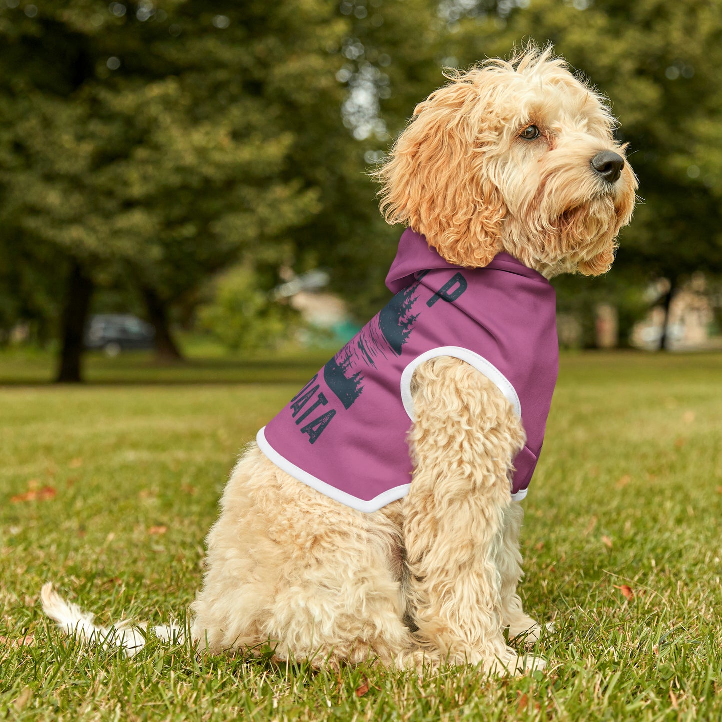 Camp Minnefloata Dock Pet Hoodie