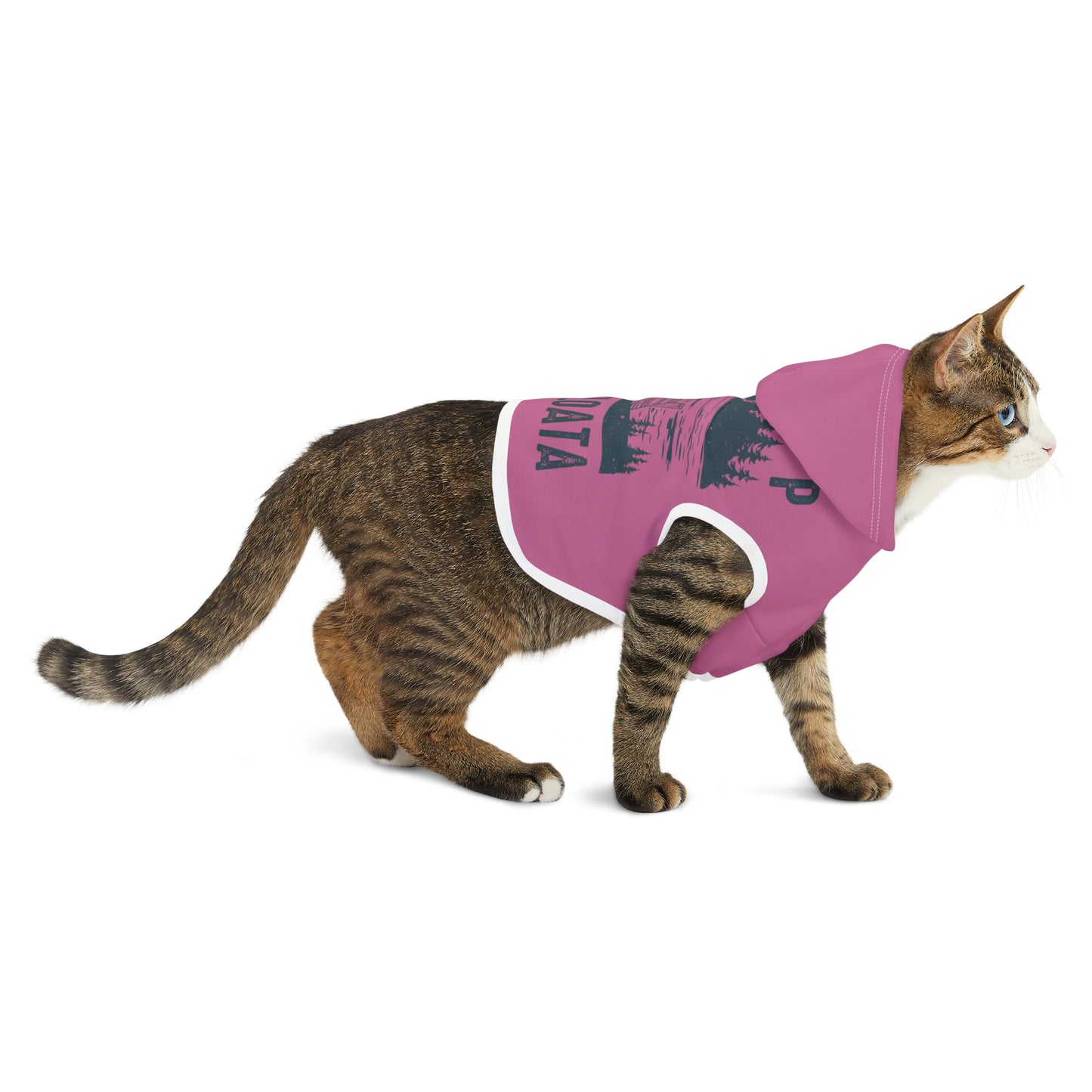 Camp Minnefloata Dock Pet Hoodie