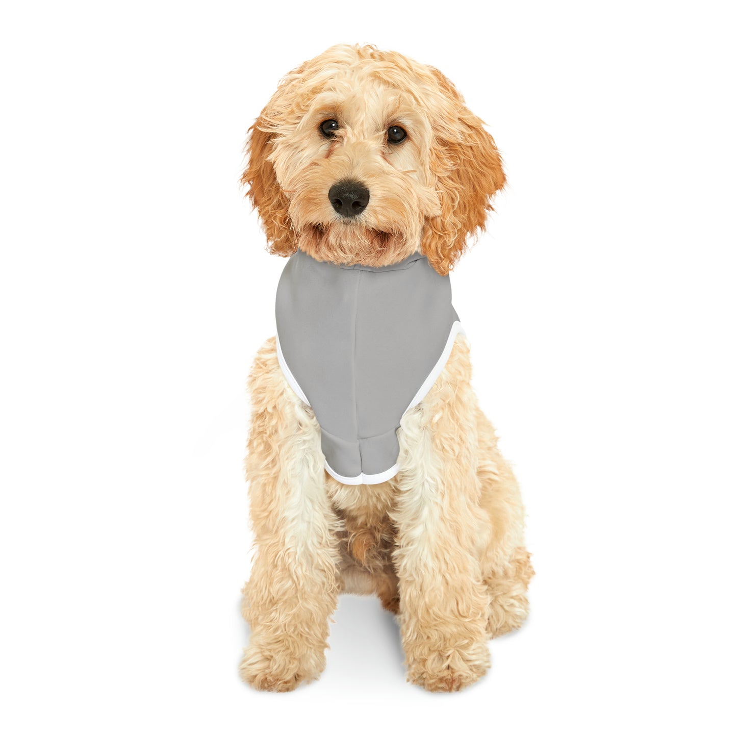 Minnefloata Lake Pet Hoodie