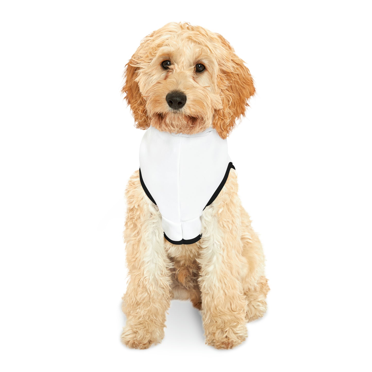 Minnefloata Propeller Pet Hoodie