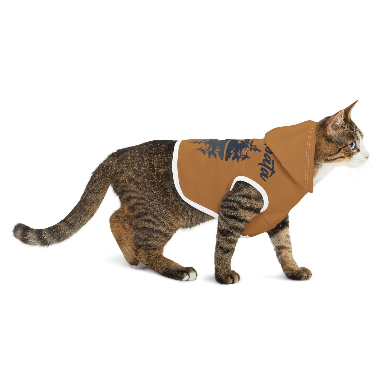 Camp Minnefloata Reflection Pet Hoodie