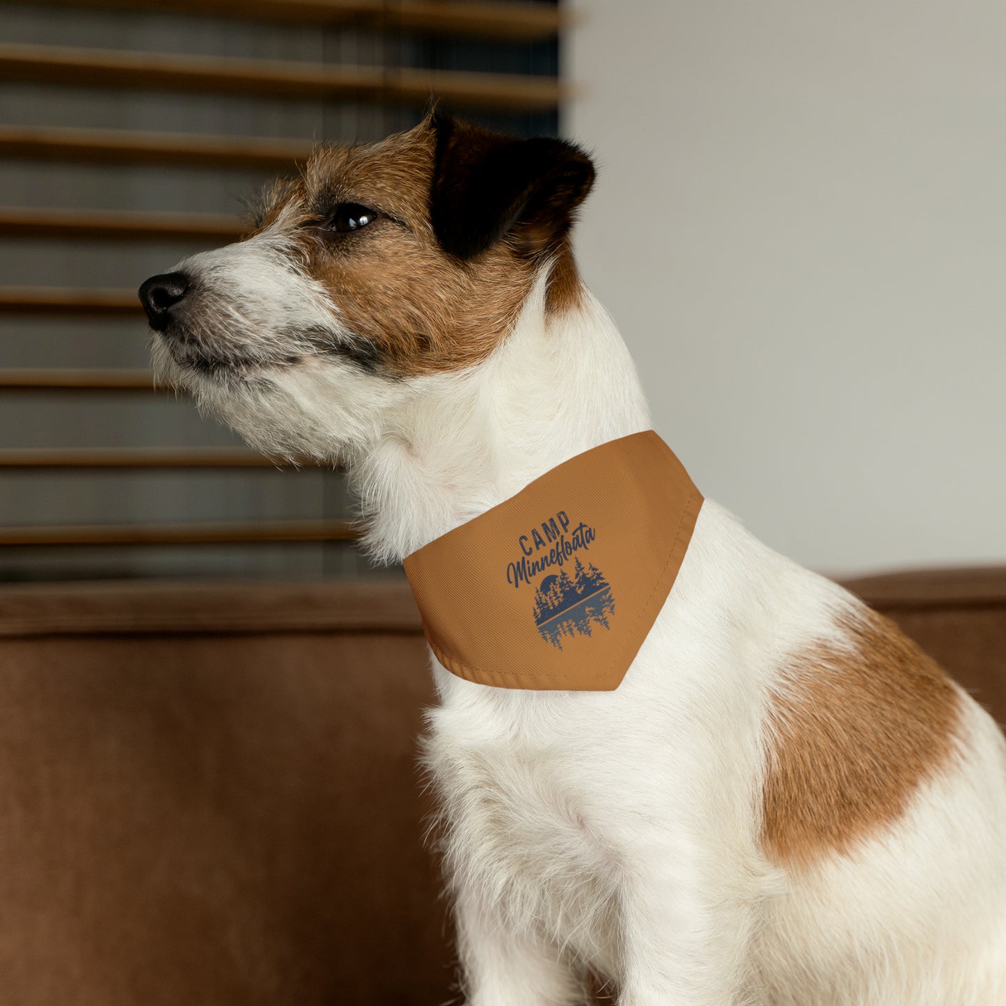 Camp Minnefloata Reflection Pet Bandana Collar