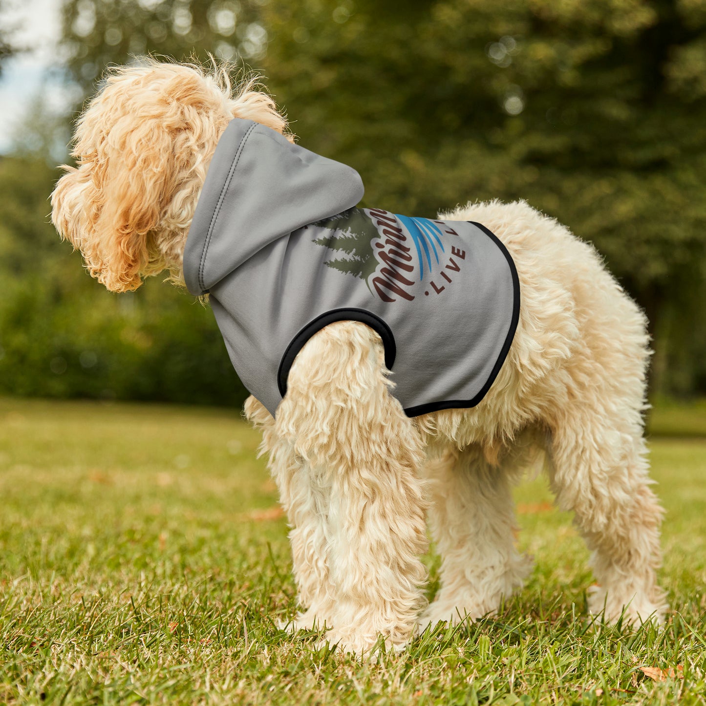 Minnefloata Lake Pet Hoodie