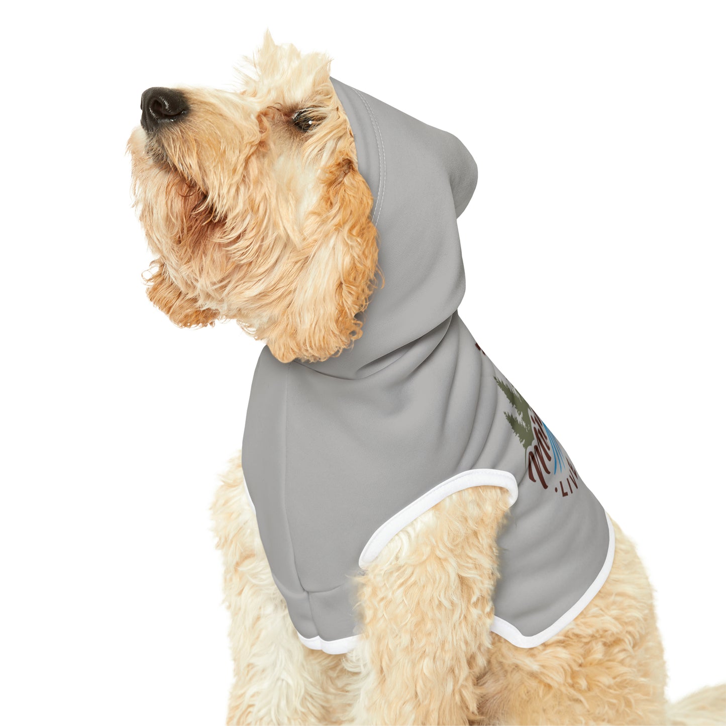 Minnefloata Lake Pet Hoodie