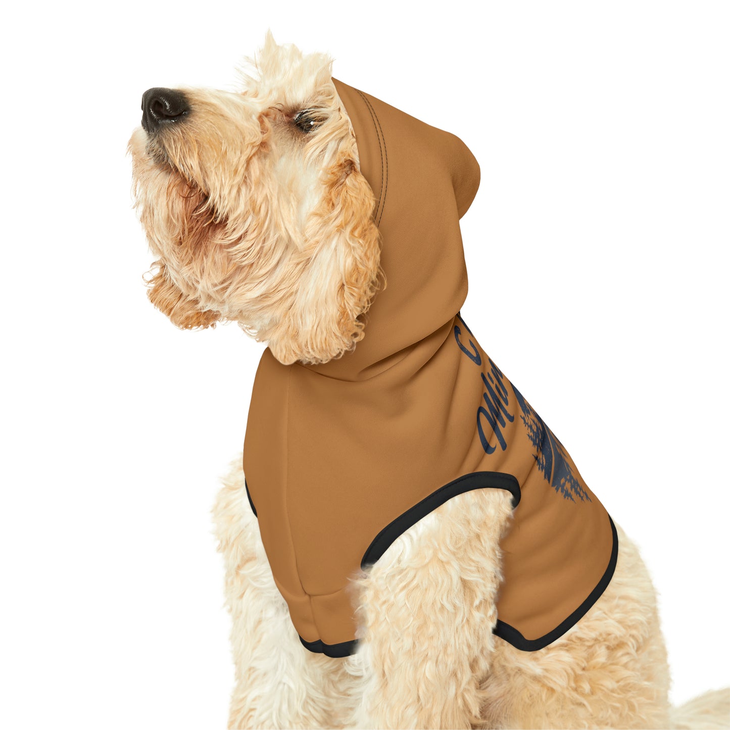 Camp Minnefloata Reflection Pet Hoodie