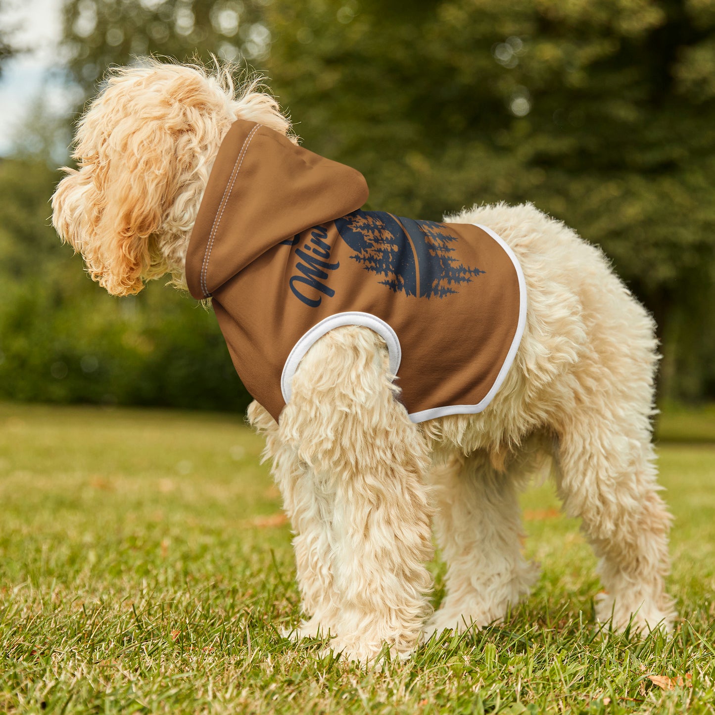 Camp Minnefloata Reflection Pet Hoodie