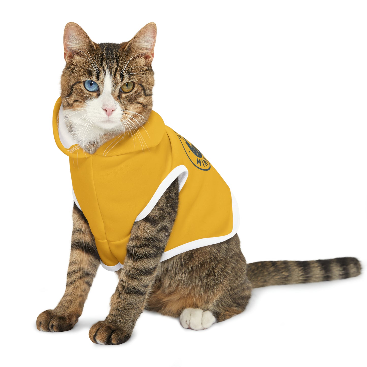 Camp Minnefloata Lake Pet Hoodie